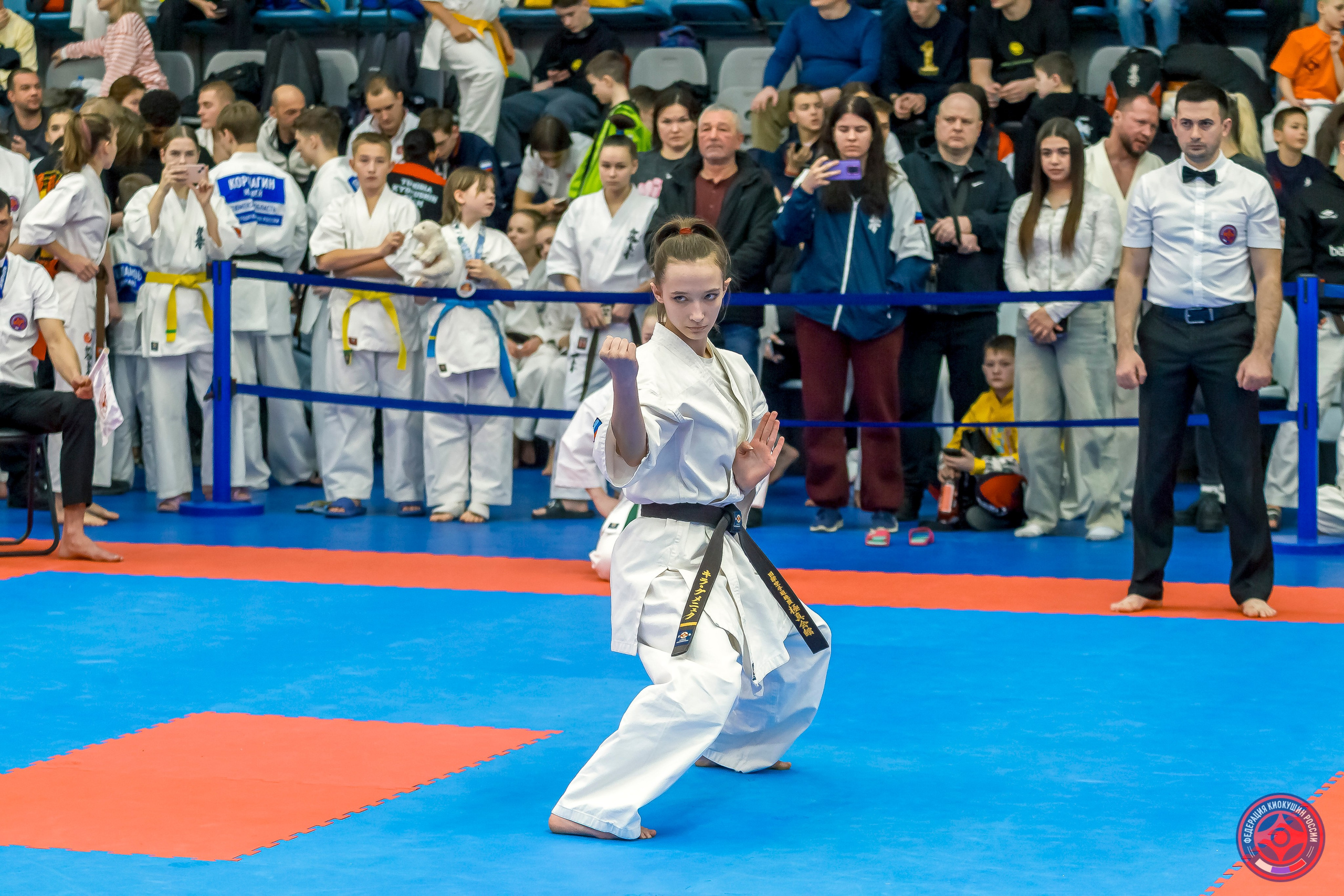 Международный турнир по киокушин «Открытый кубок Seiken». Репортажная съемка в Москве и области. Анималистика