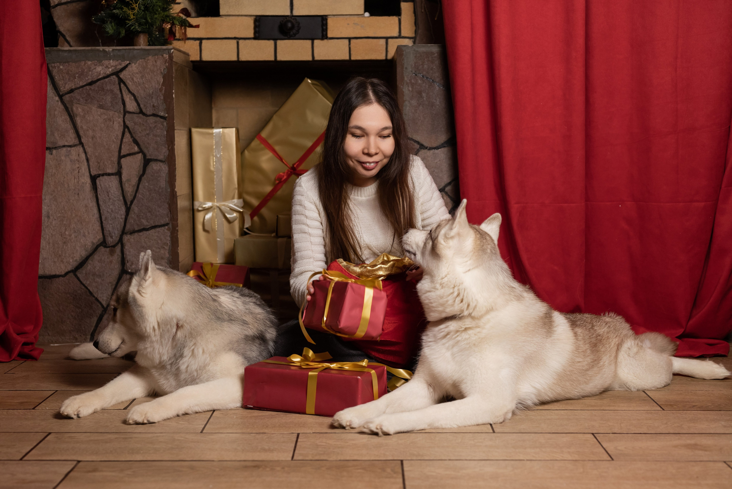 Фотопроект с хаски в частном доме. Фотограф в городе Салават