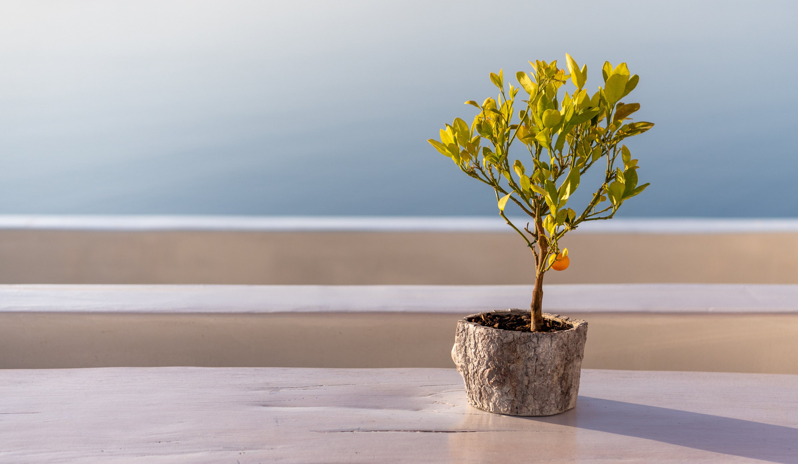 Греция 2021. Создание обучающих видеороликов Puponin Production