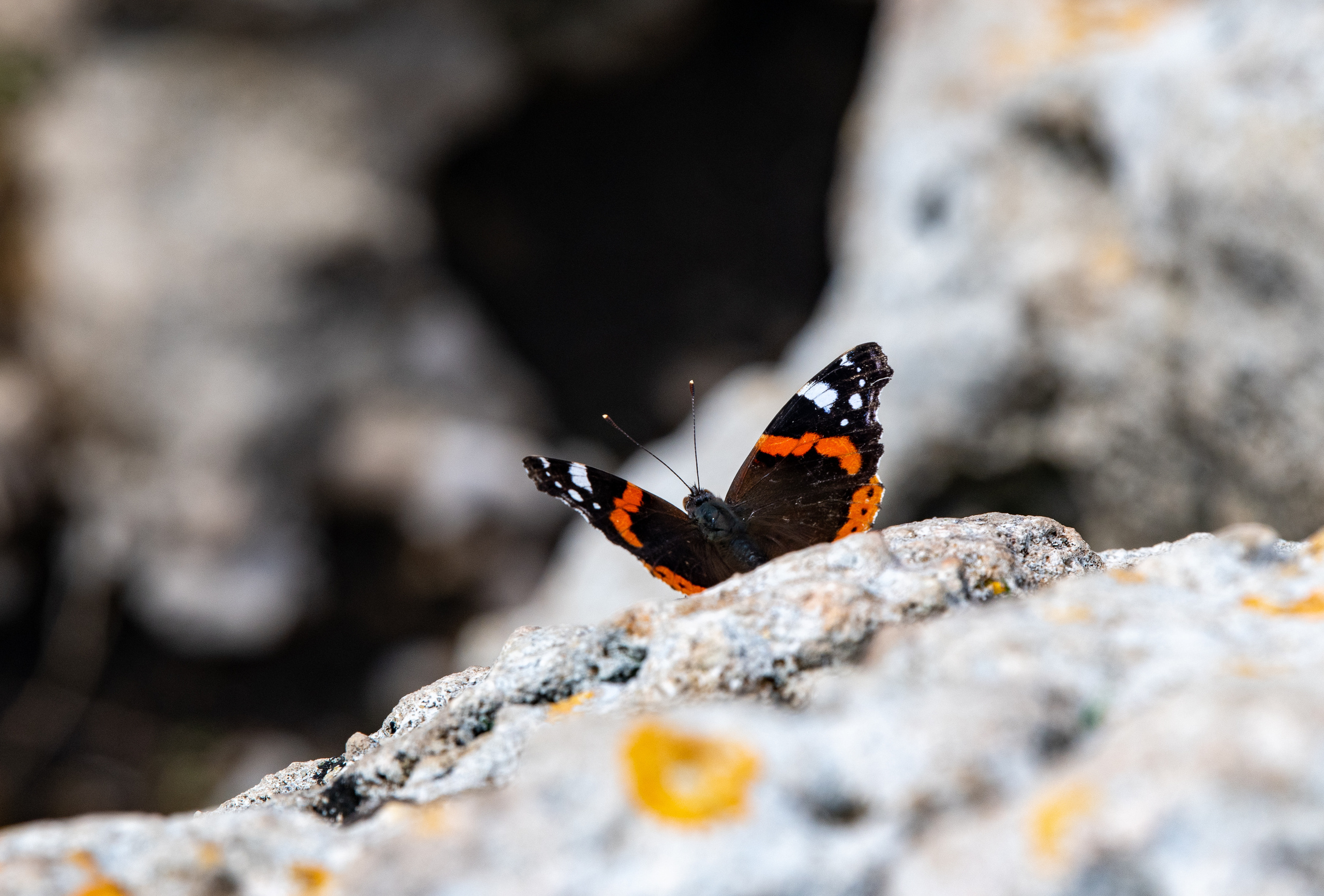 Греция 2021. Создание обучающих видеороликов Puponin Production