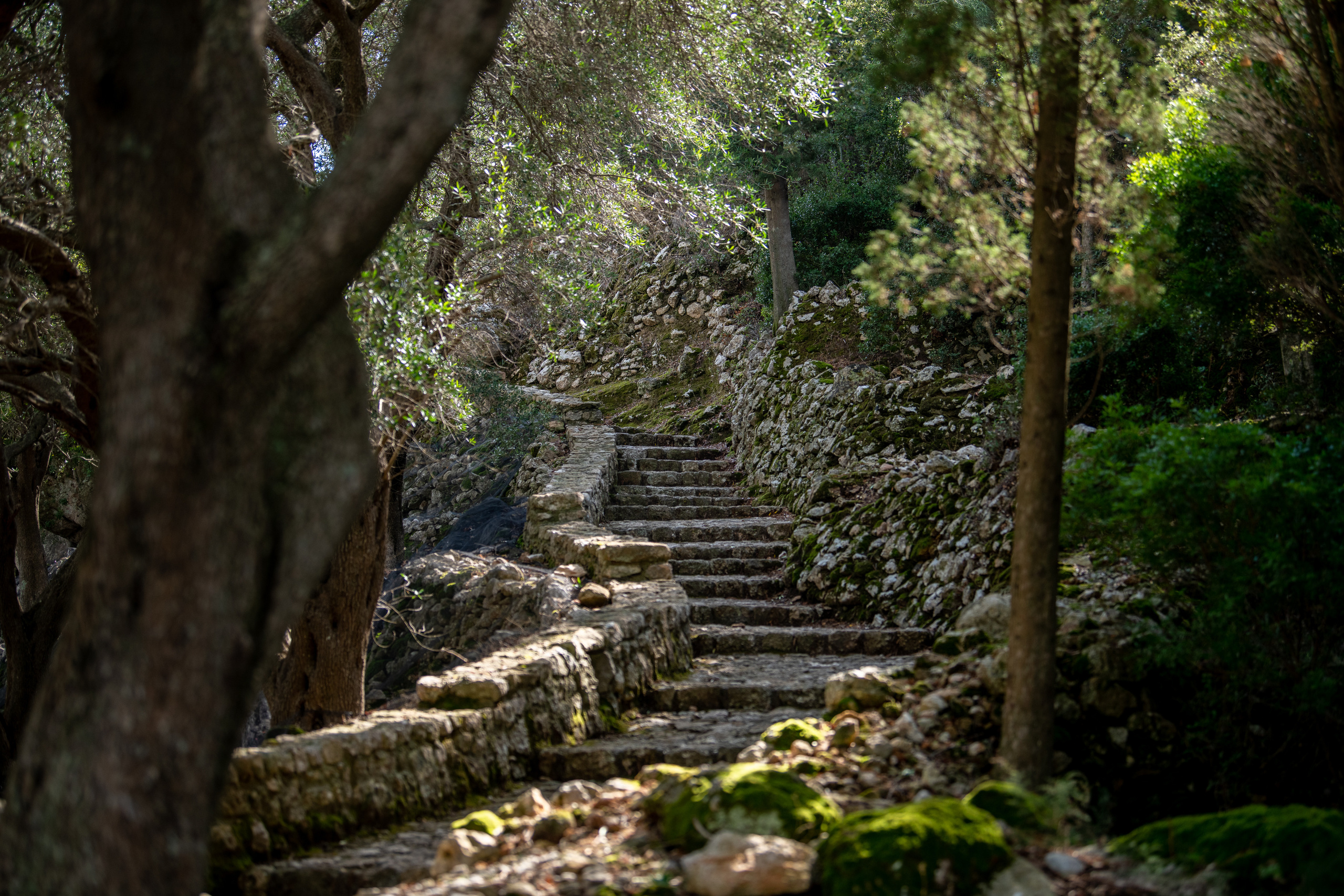 Греция 2021. Создание обучающих видеороликов Puponin Production