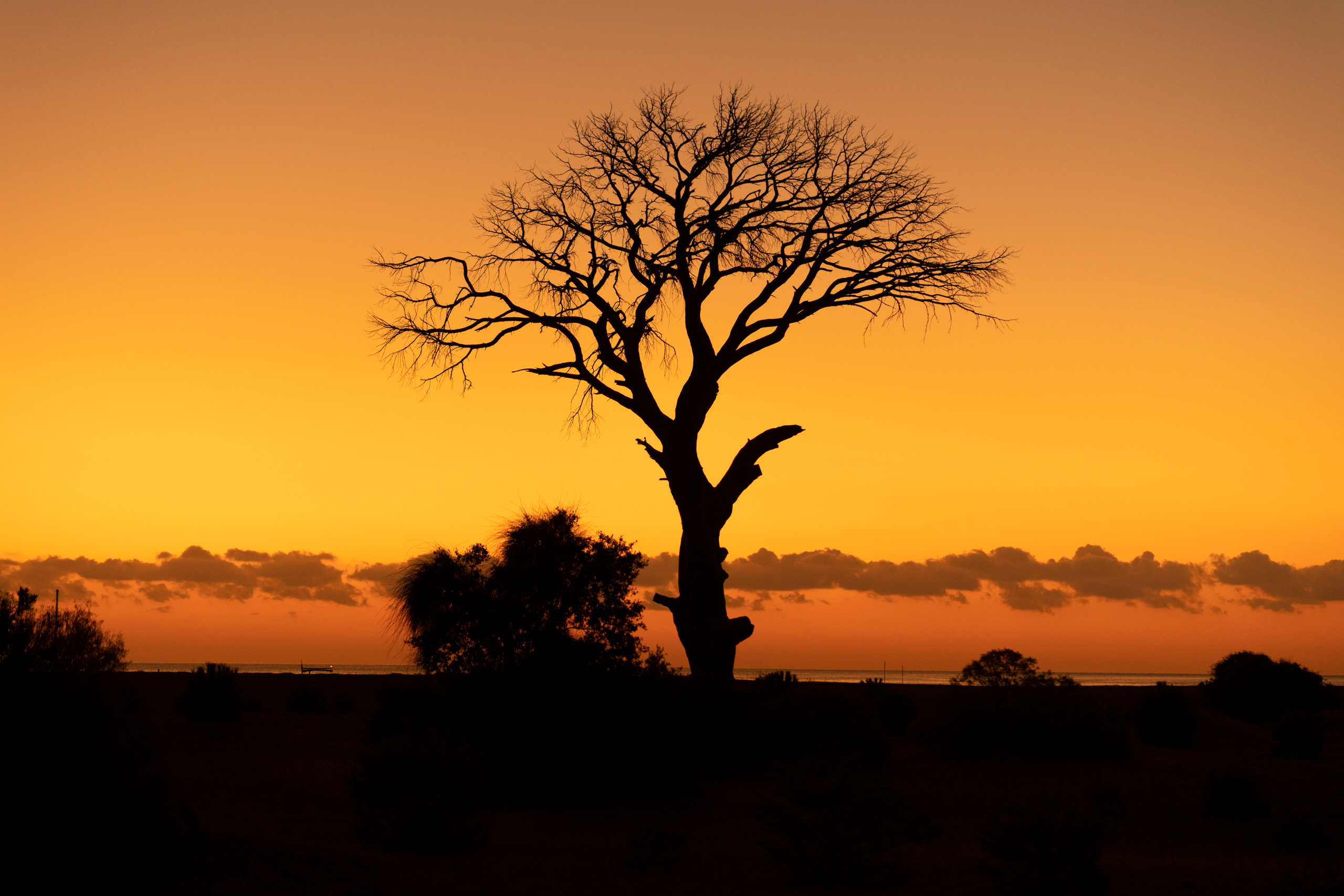 Чиралы, Турция 2020. Создание обучающих видеороликов Puponin Production