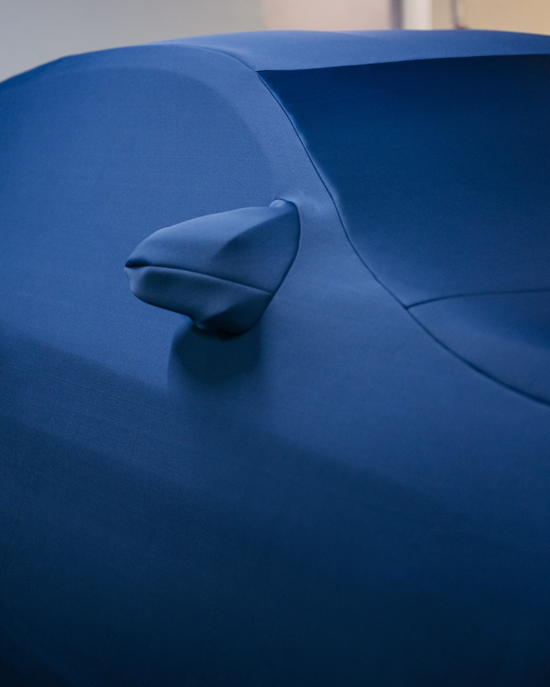 Porsche GT3 и BMW M4 чехлы для гаражного хранения. DeLorein