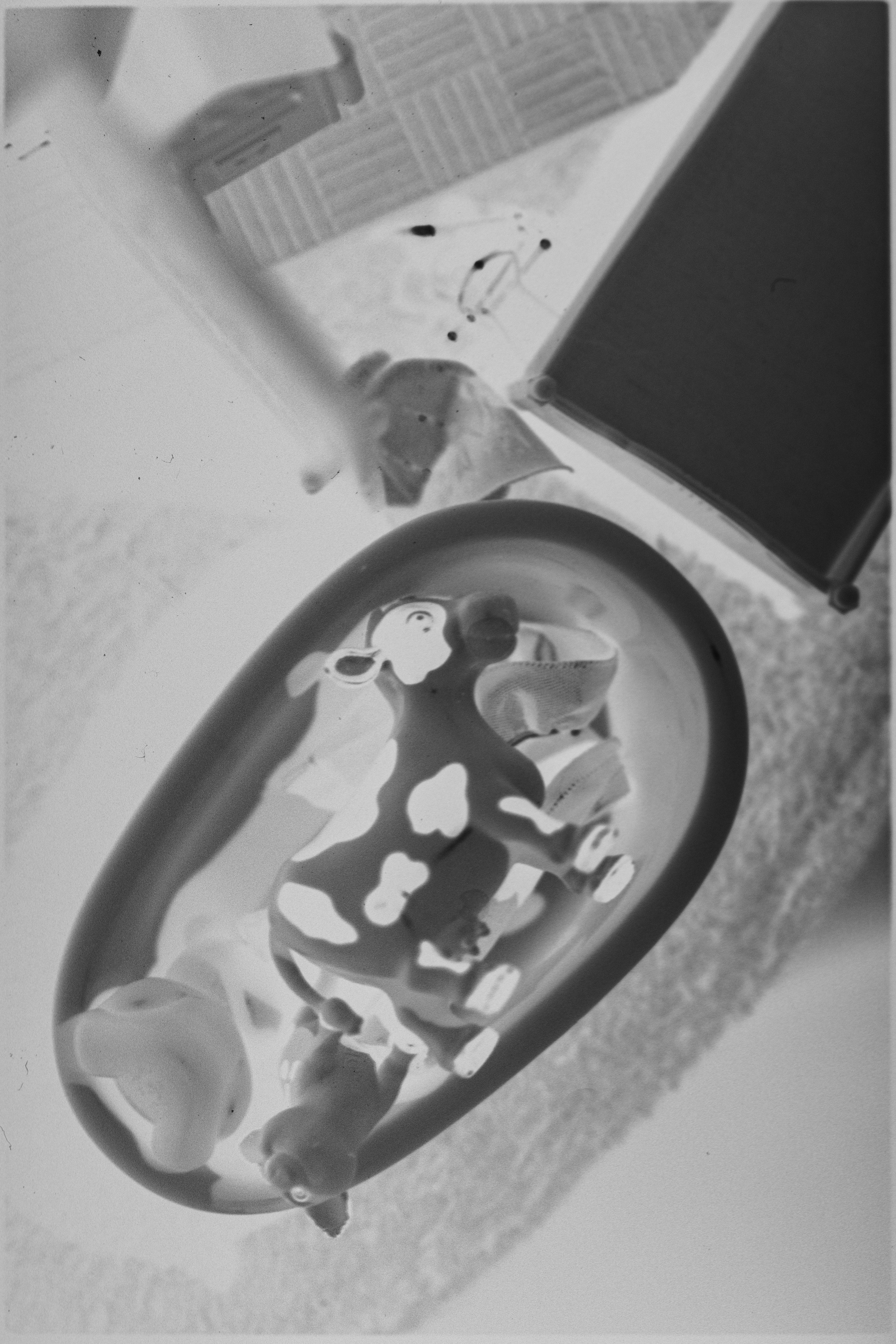 Traces. Veronika Verbitskaia | Contemporary Photographer | Dublin