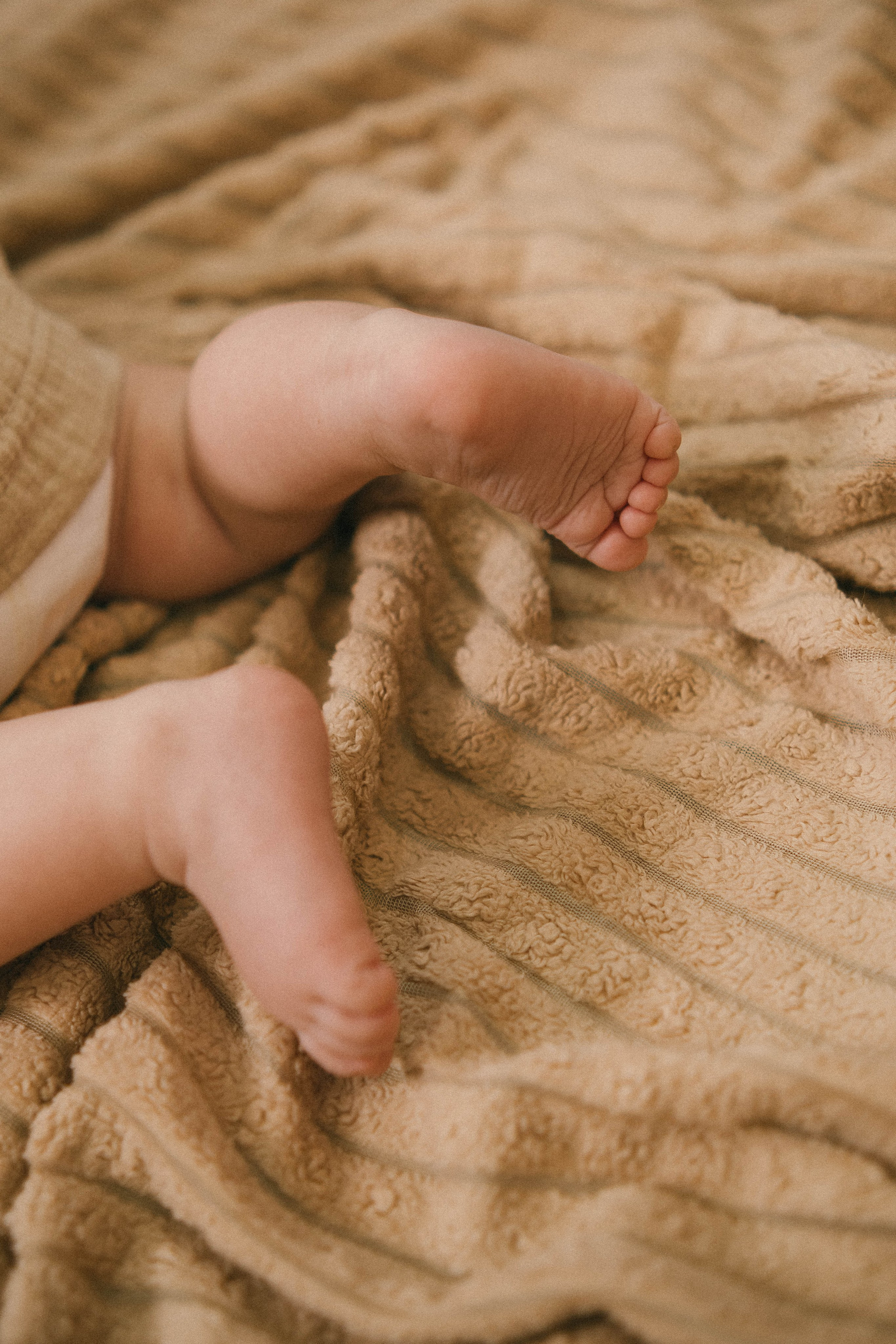 Лера, Артур и Машенька (Новый год 26). Анна Демидова — фотография для жизни и бизнеса в Абакане