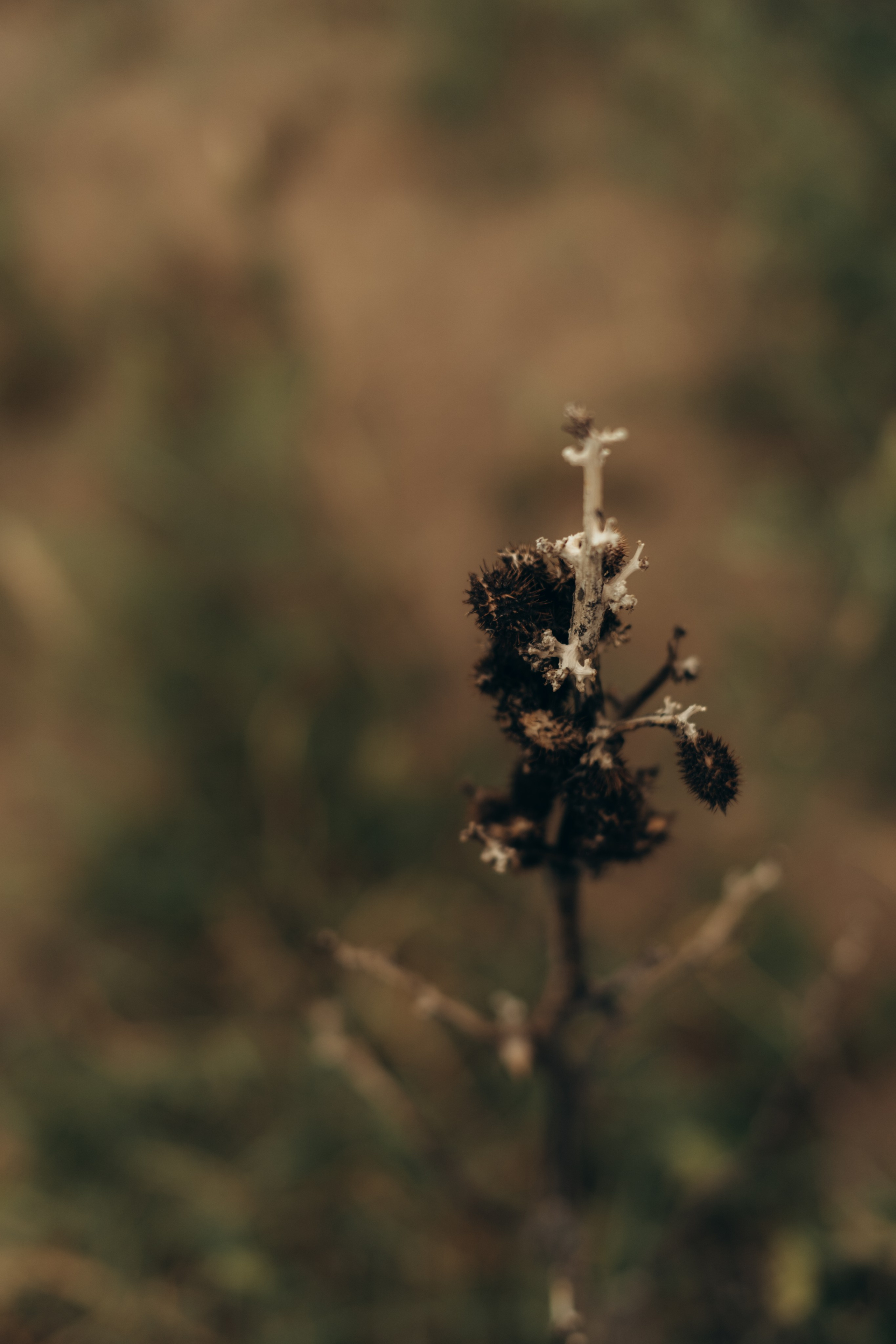 Воспоминания, которые мы создаем с семьей- бесценны. Фотограф в Москве Ольга Елоева