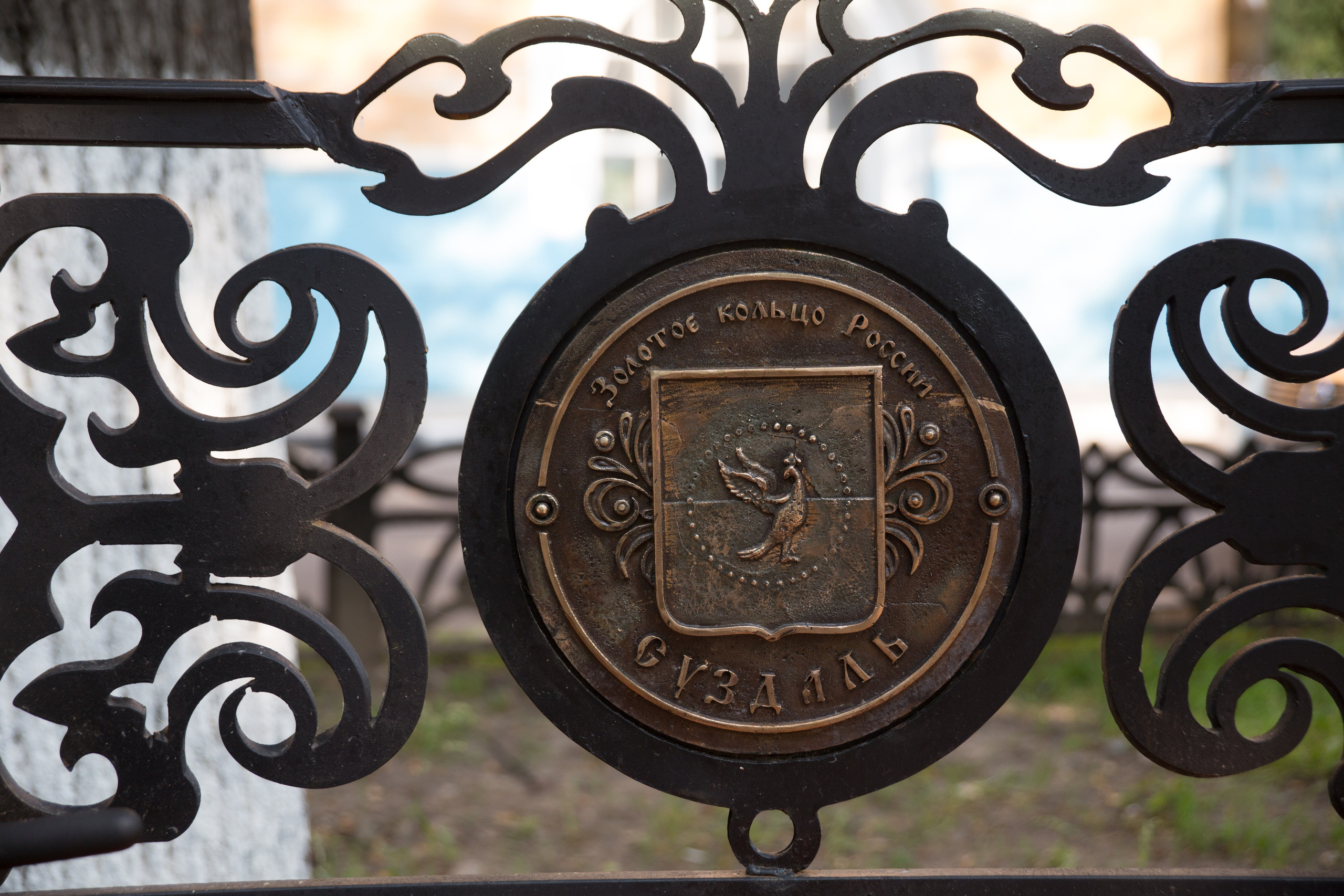 Г. Ярославль. Студия Максима Белослюдцева