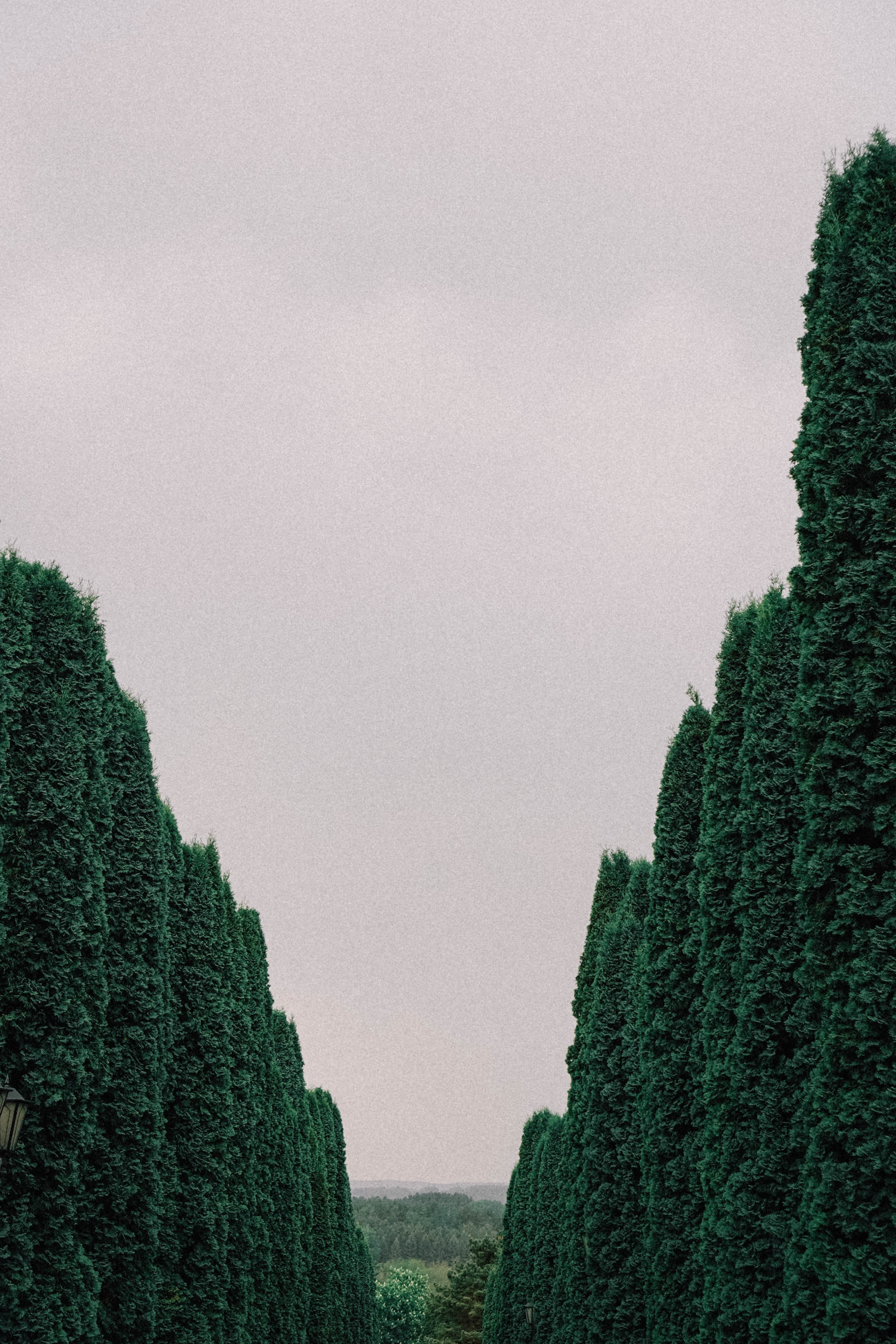 КИСЛОВОДСК. Профессиональный фотограф, Санкт-Петербург — Виктория Богомолова