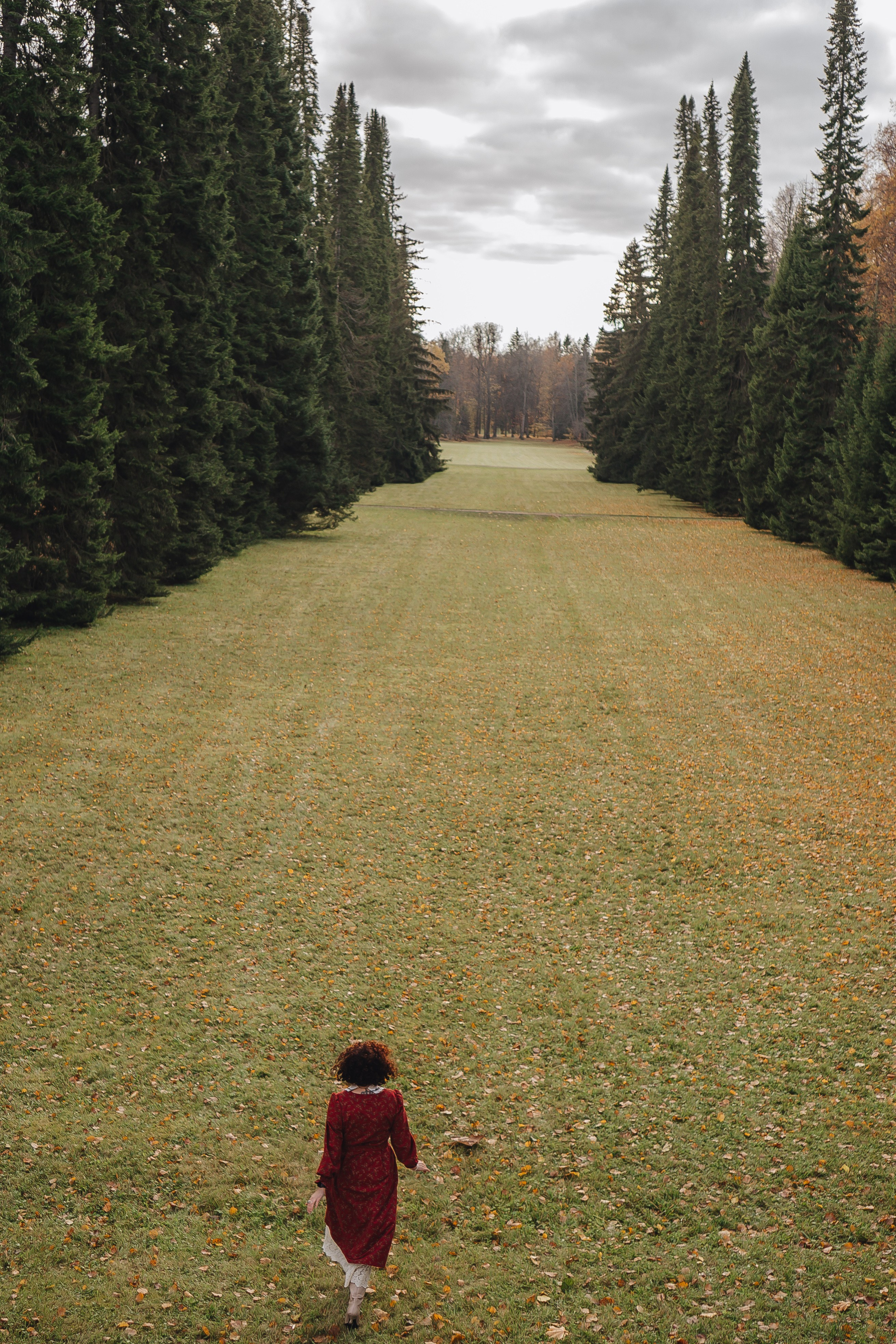 Осенний парк. Профессиональный фотограф, Санкт-Петербург — Виктория Богомолова