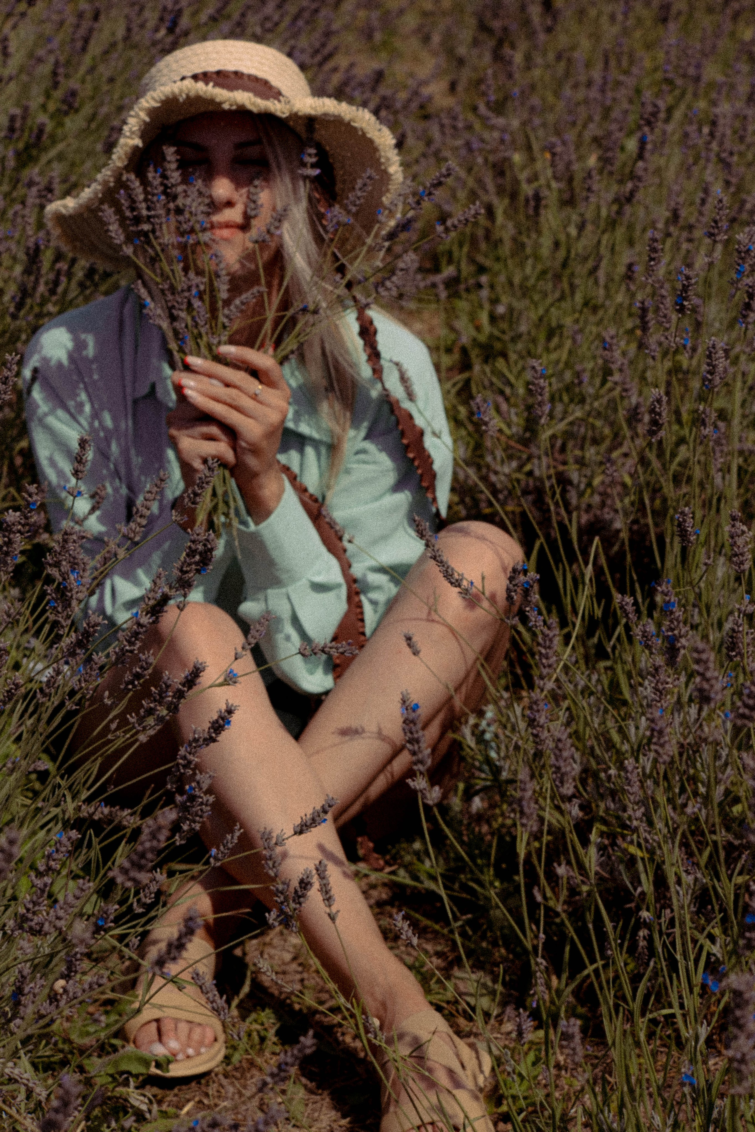 ЛАВАНВОДОВОЕ ПОЛЕ. Профессиональный фотограф, Санкт-Петербург — Виктория Богомолова