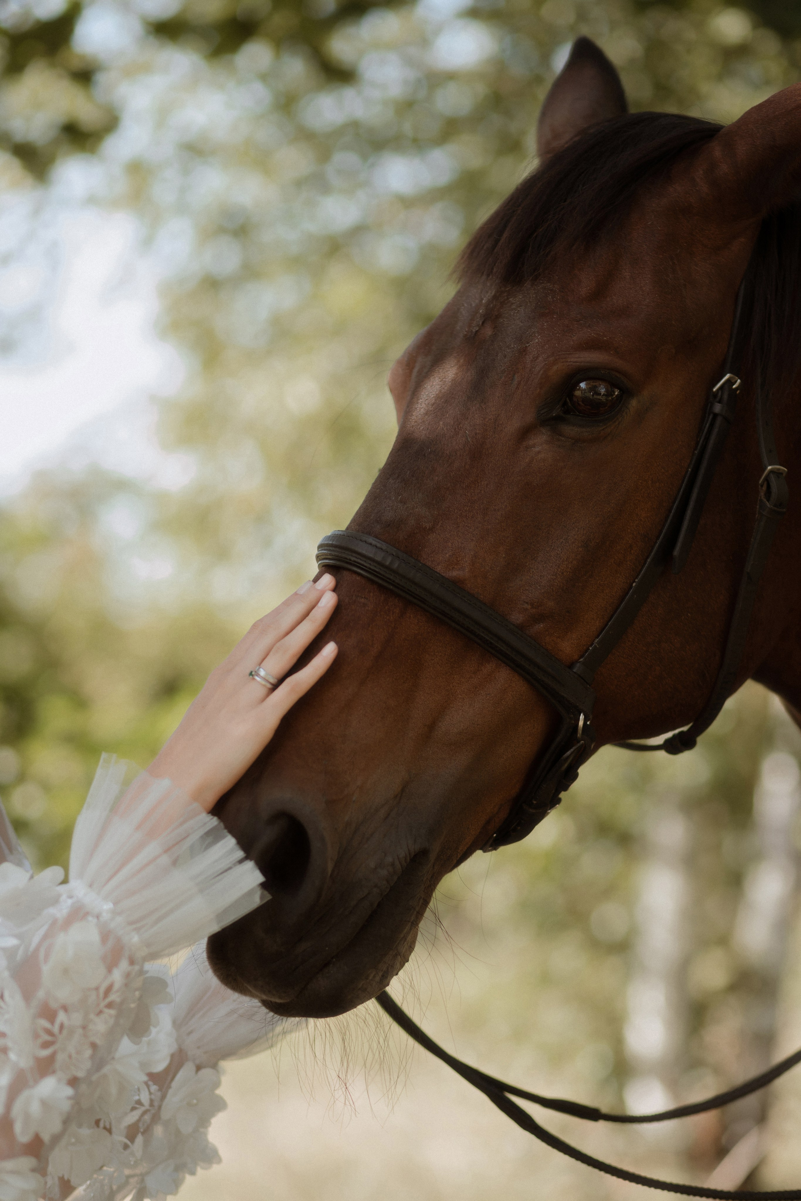 I swear to you. Фотограф Лия Козловская Минск