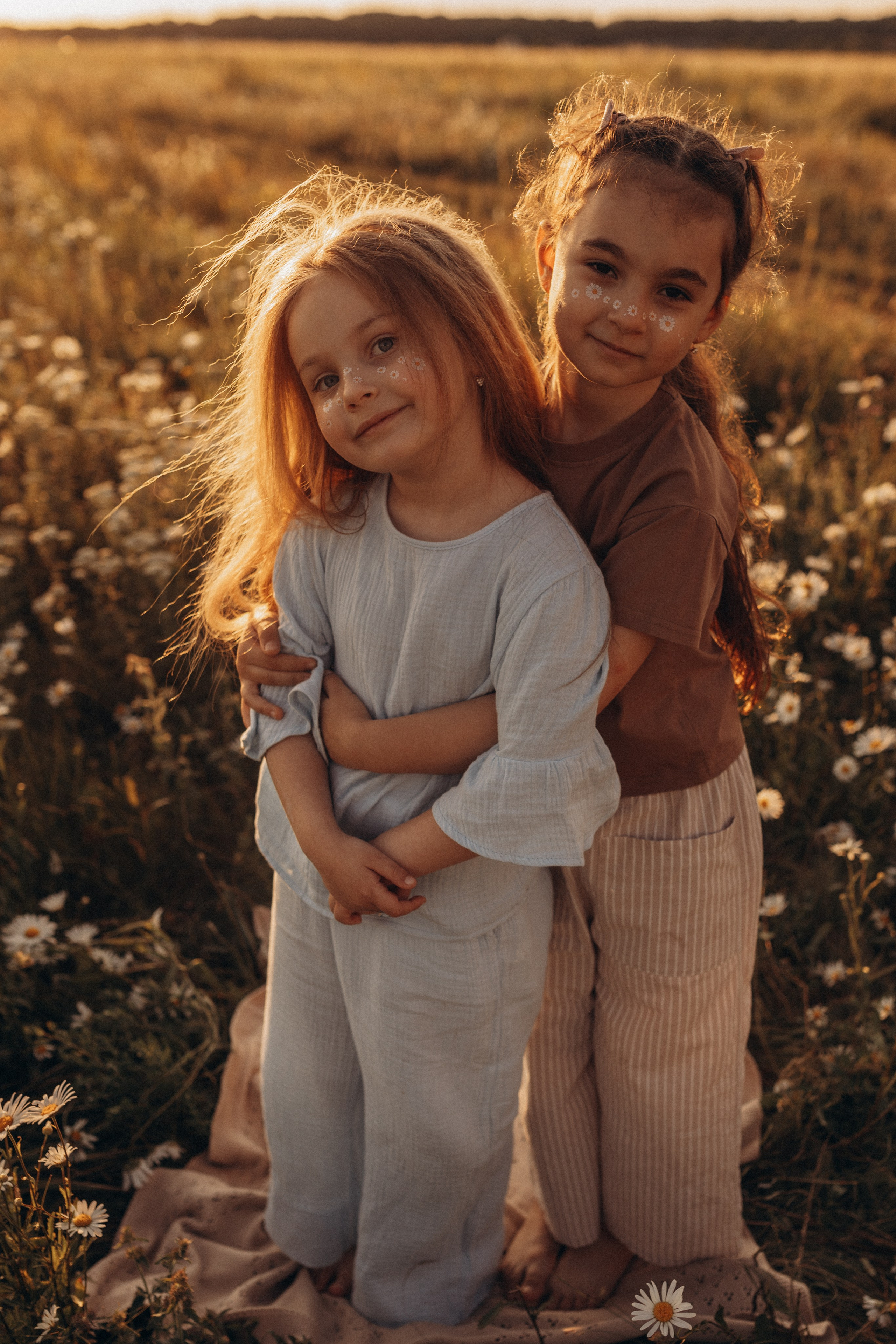 Закат на ромашковом поле. Фотограф в Ставрополе Svetlana Matveeva