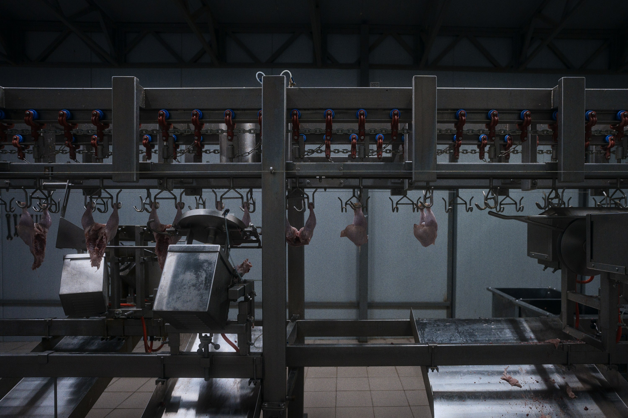 Can you tell a green field from a cold steel rail?. Фотограф Юрин Евгений