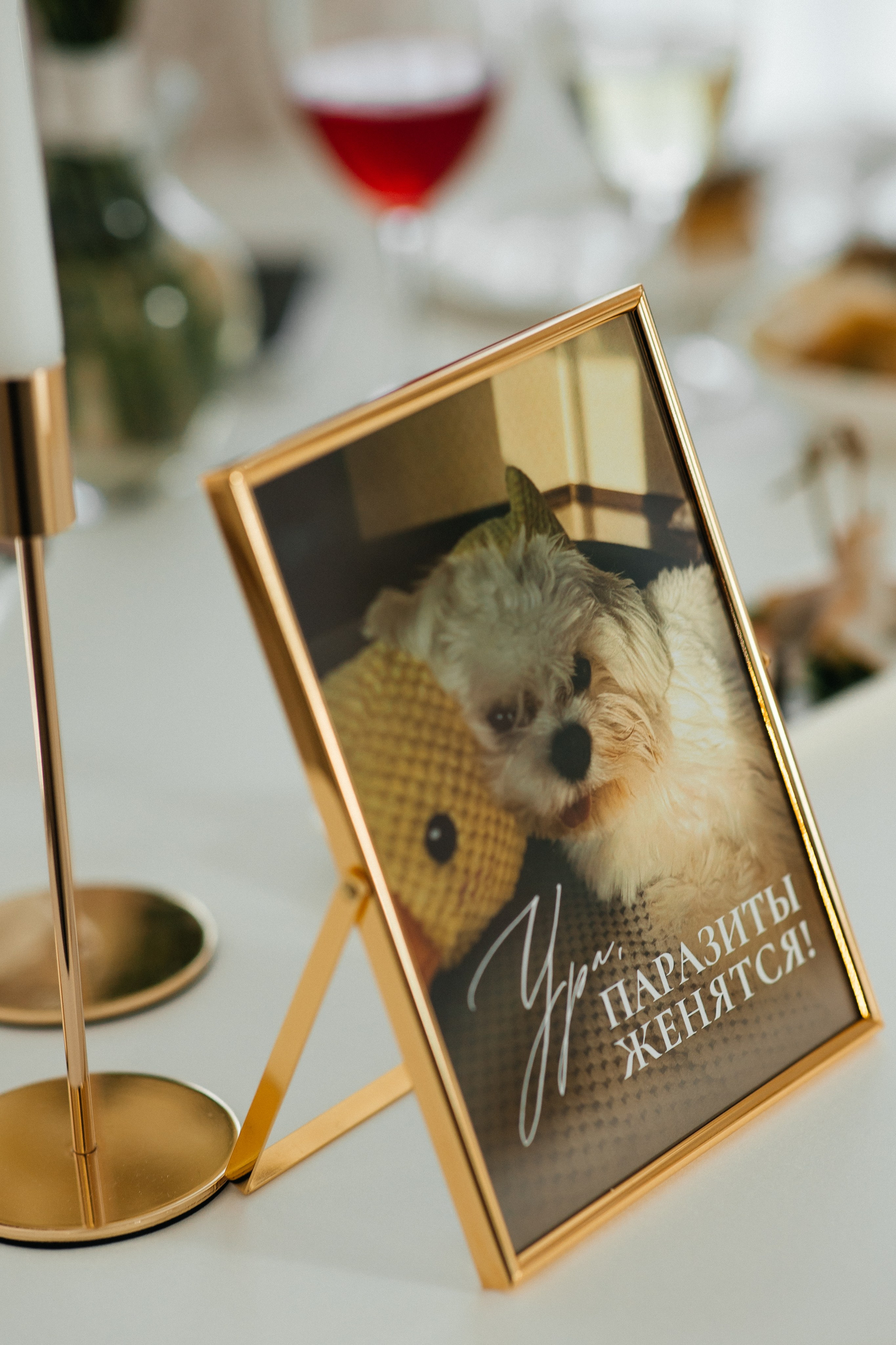 Владислав & Ксения. СВАДЕБНЫЙ ФОТОГРАФ ЕВГЕНИЯ МОДИНА Ярославль