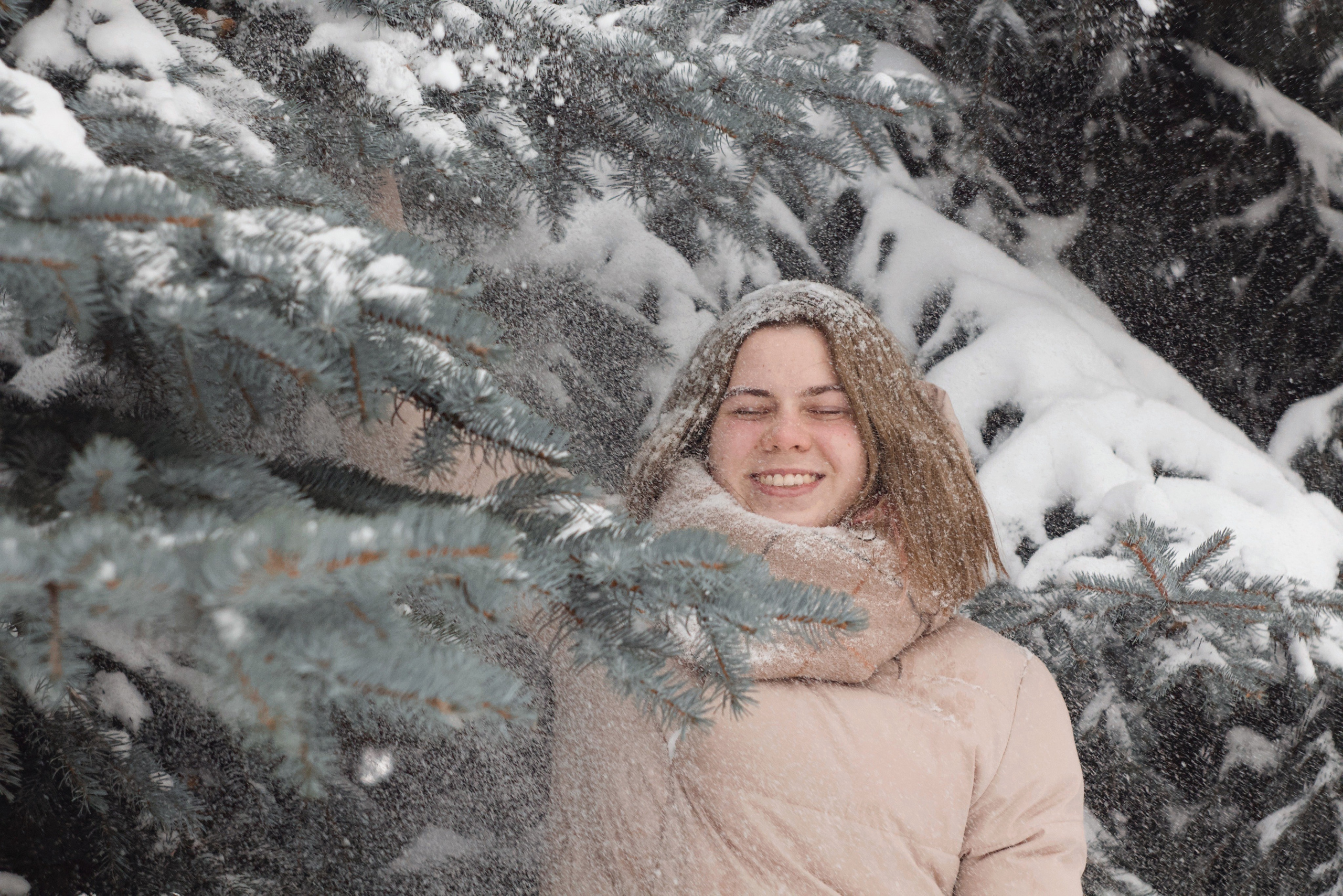 Зимний январь. Photography Eva