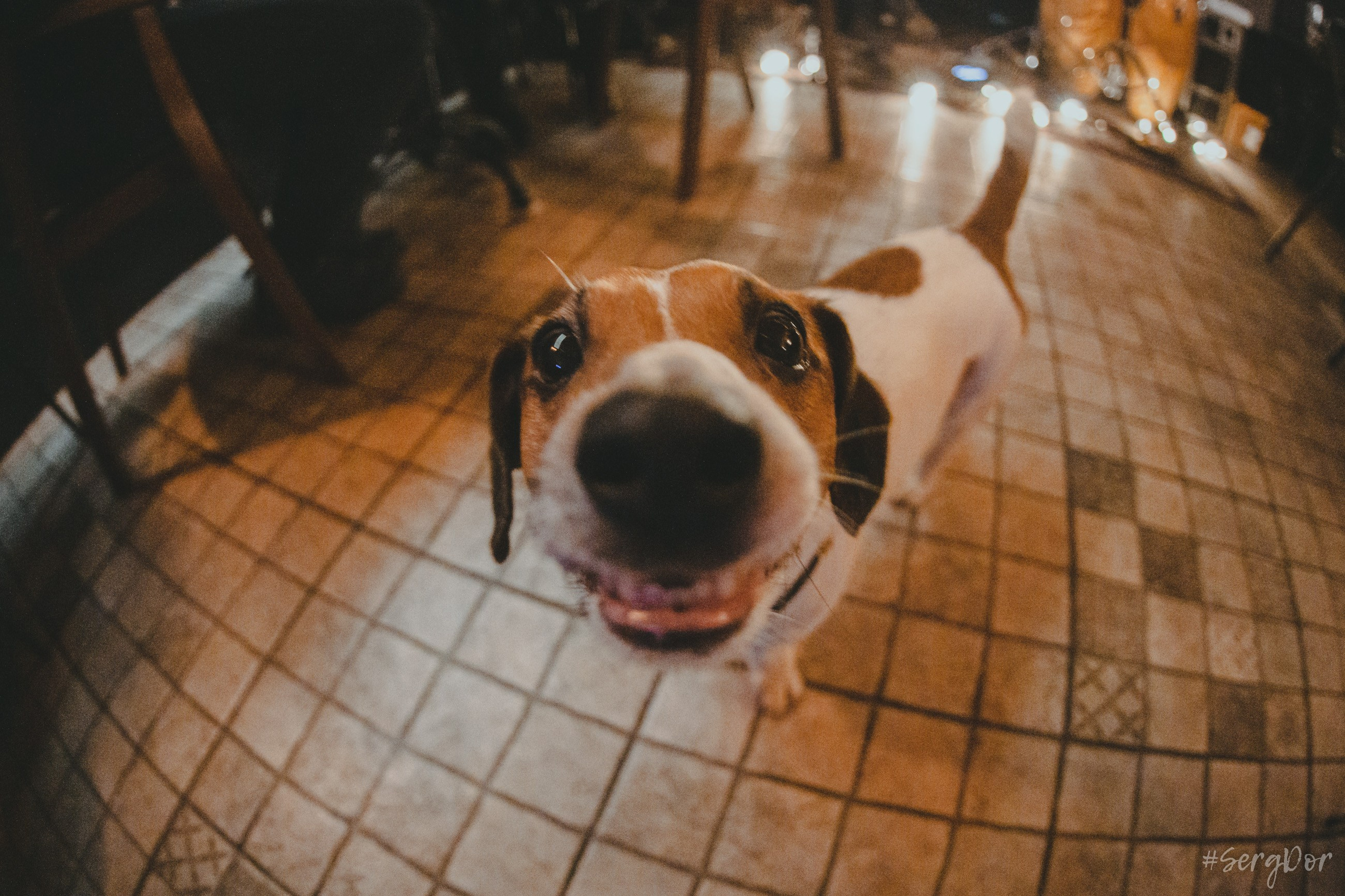 erni_Sh, Антилла, Могучая кучка, Эрнест Шеремет, Аля Глазкова, концерт, фортепьяно, Санкт-Петербург, 16.12.2023, SergDor, 16 декабря 2023 года, #SergDor