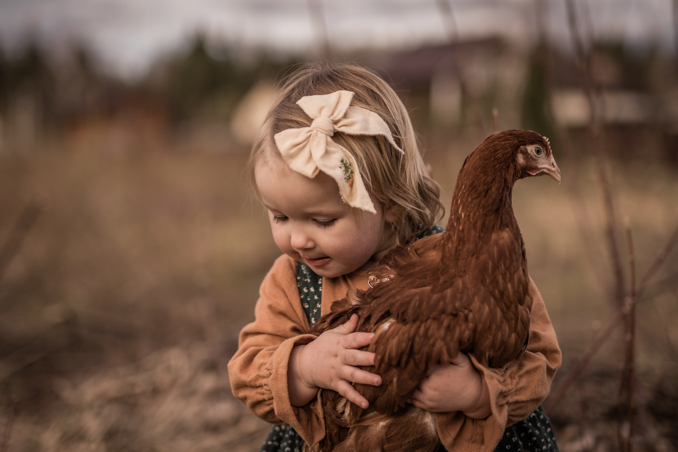 Куриная история. Семейный фотограф Ефремова Виктория