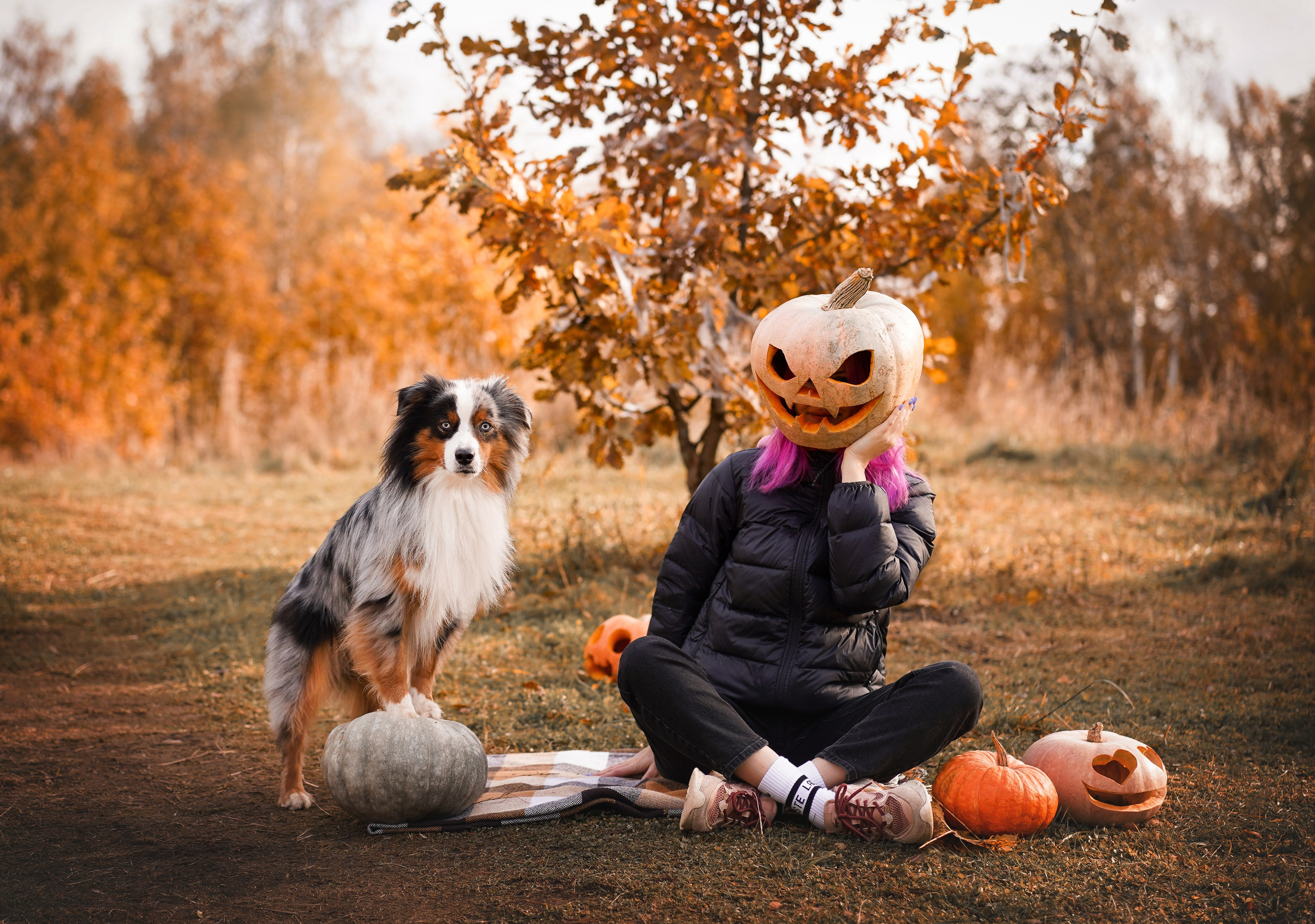 Фотодень Хэллоуин 2025. Фотограф-анималист в Санкт-Петербурге Яна Мартынова