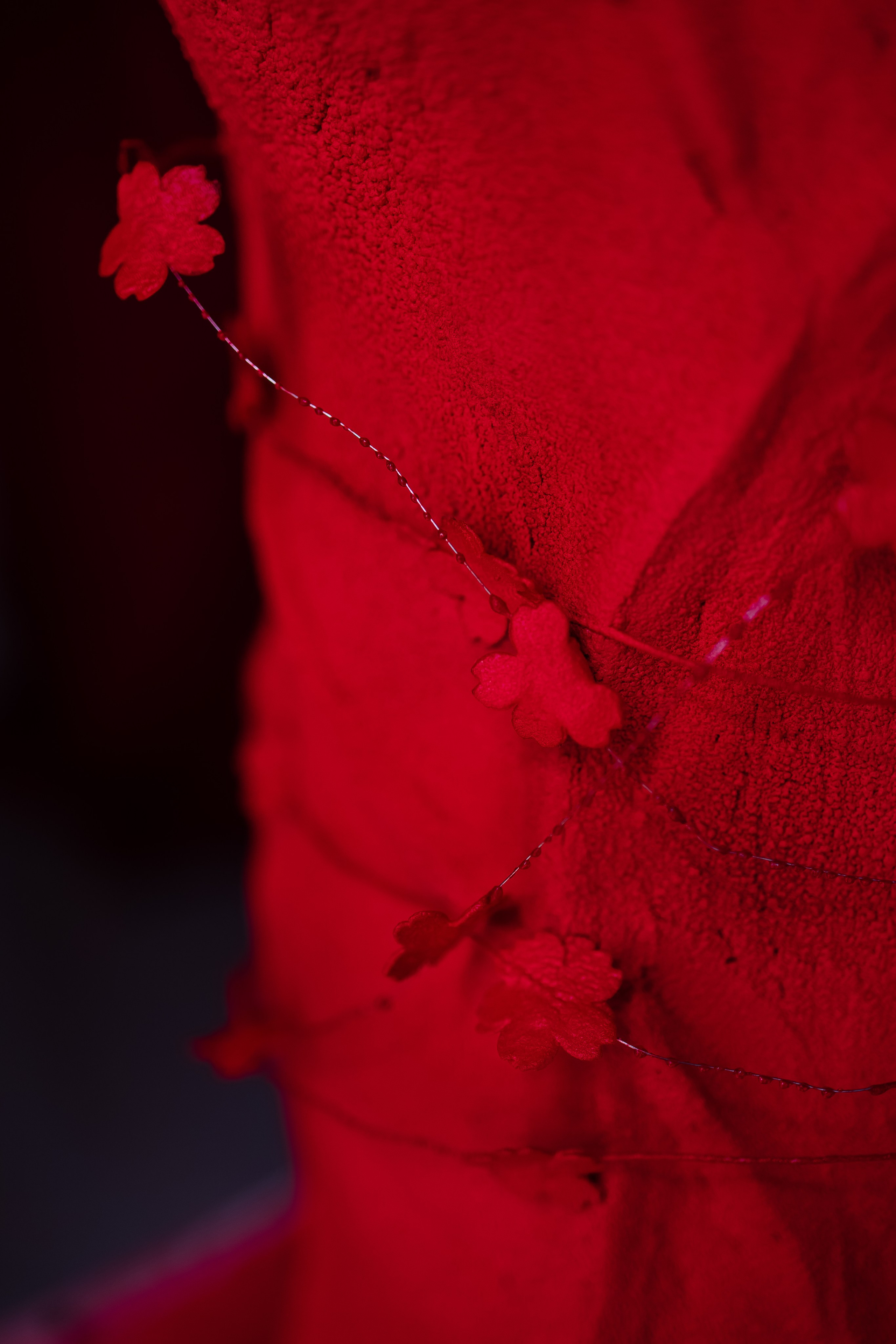 Шоу тортов. Свадебный фотограф