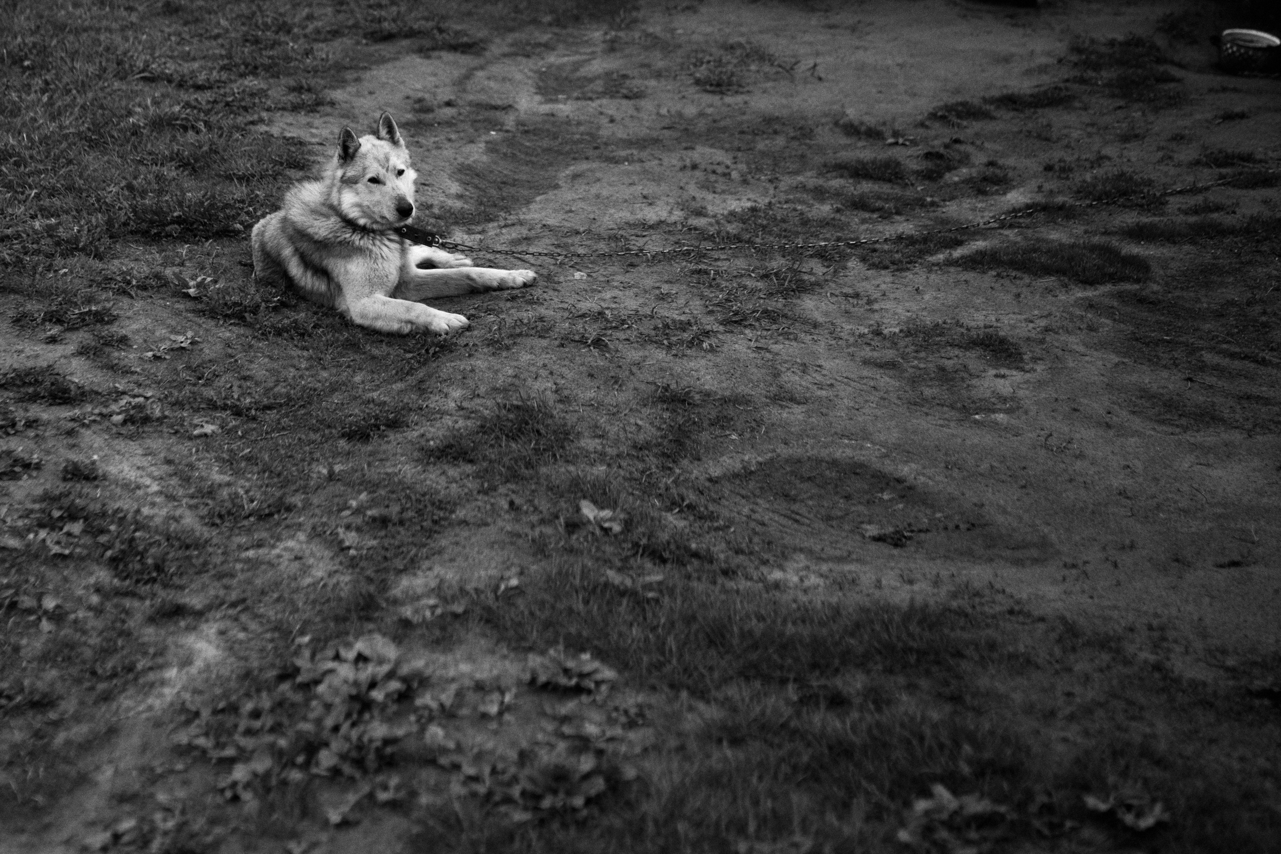 VLADA. ФОТОГРАФ Екатеринбург Москва Анастасия Замесина