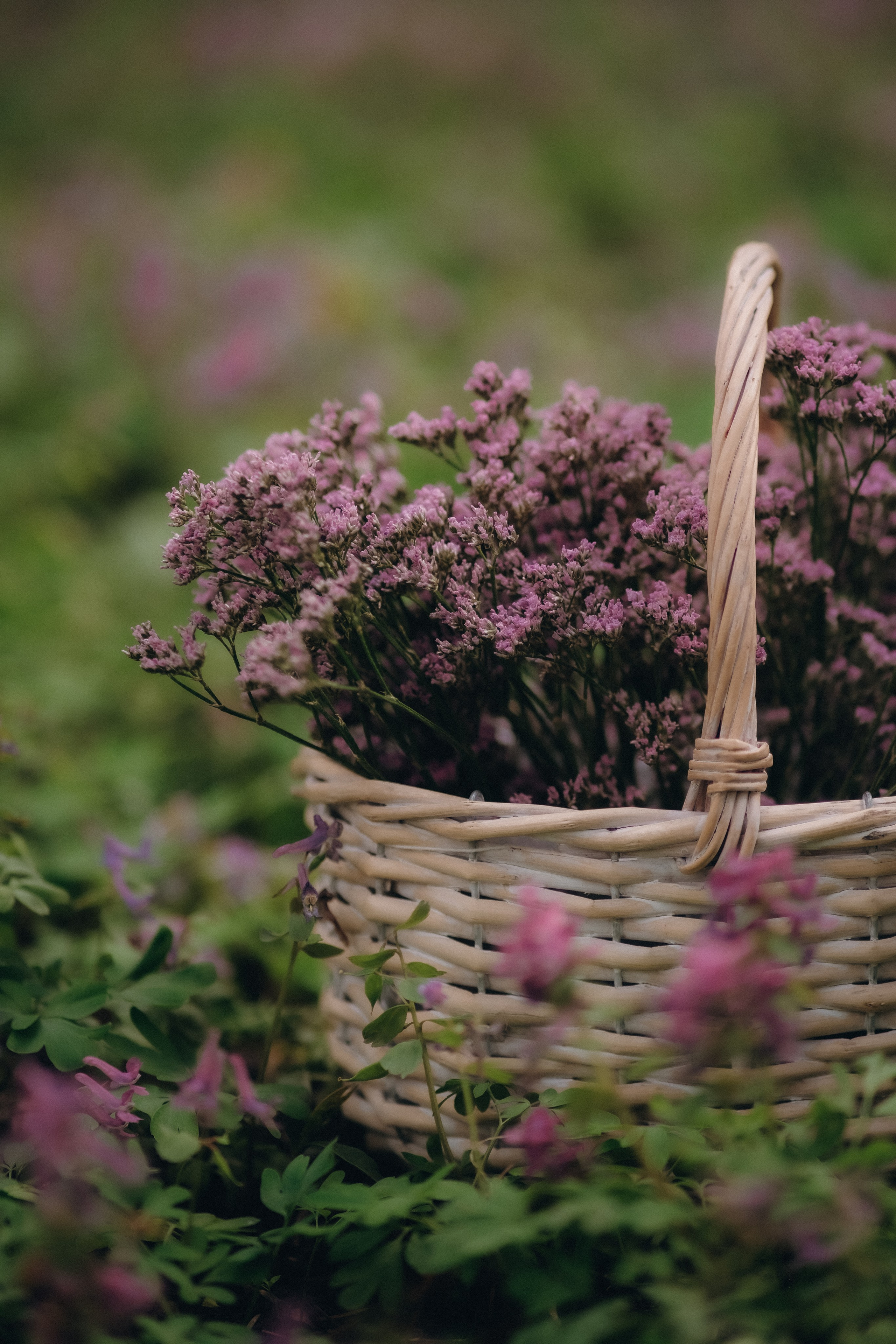 Первые цветы весны. Свадебный и семейный фотограф в Москве Инника Кетлер