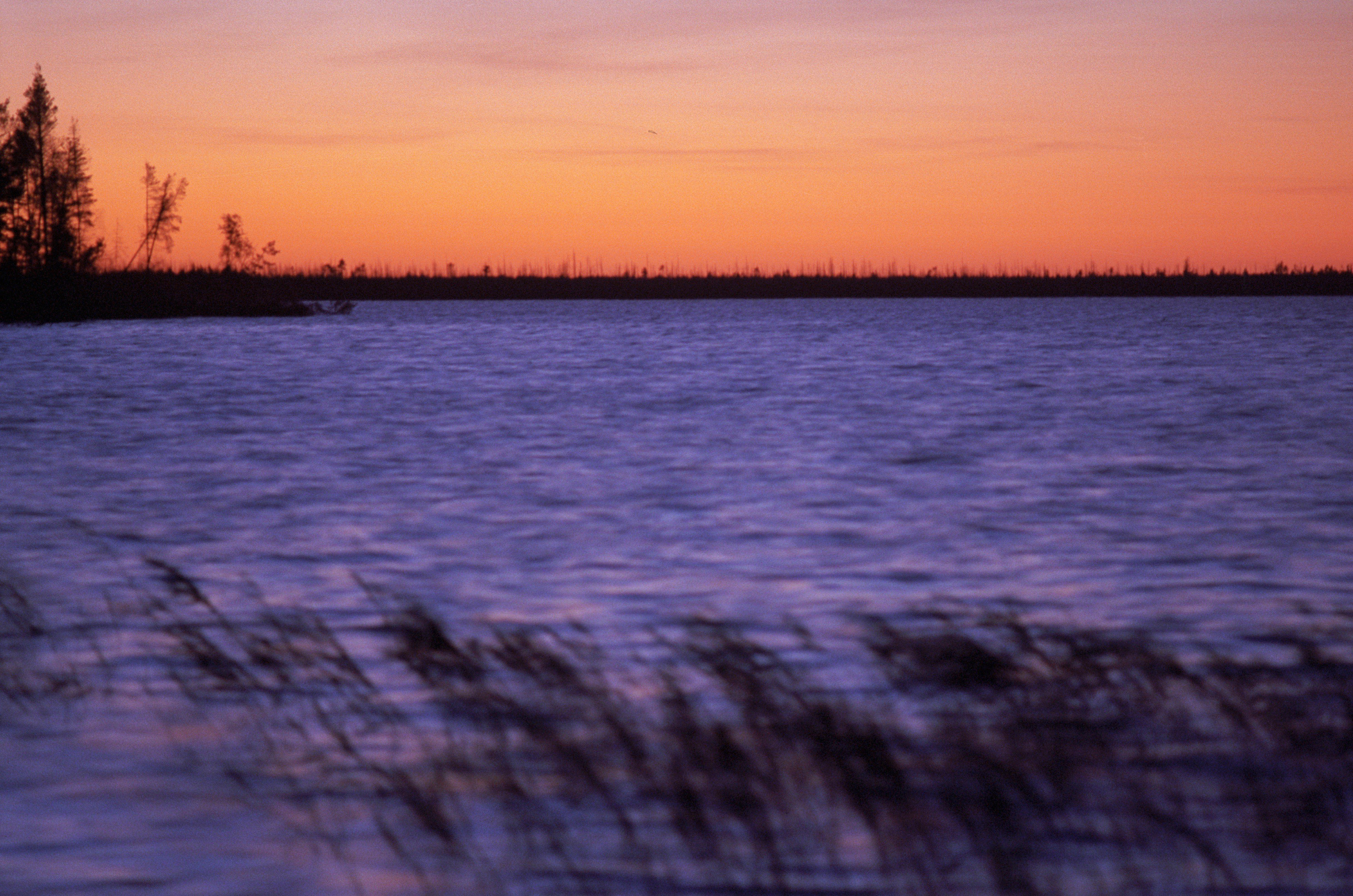 Kodak. Василий Буйлов|Vasilii Builov