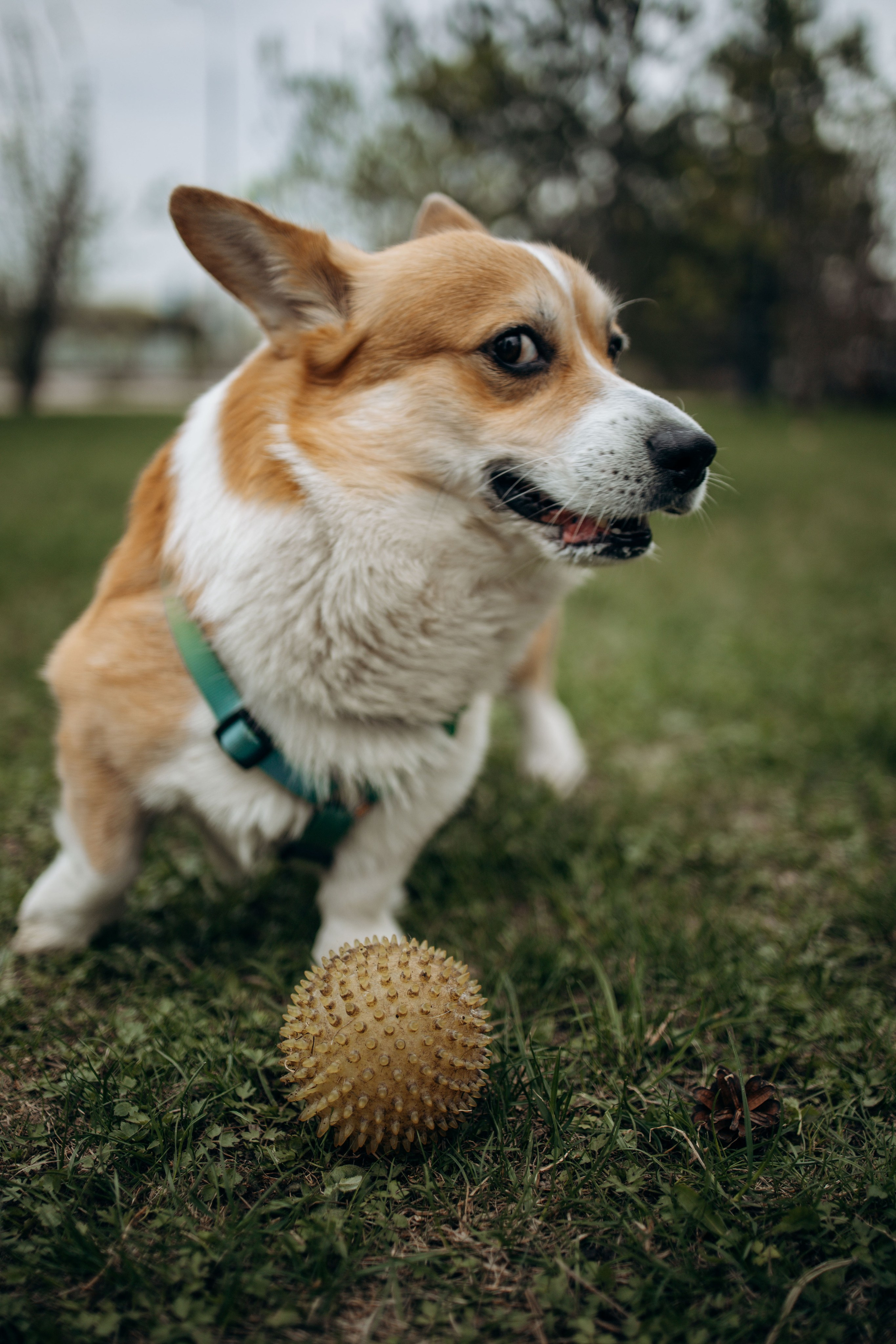 Екатерина и Альфи