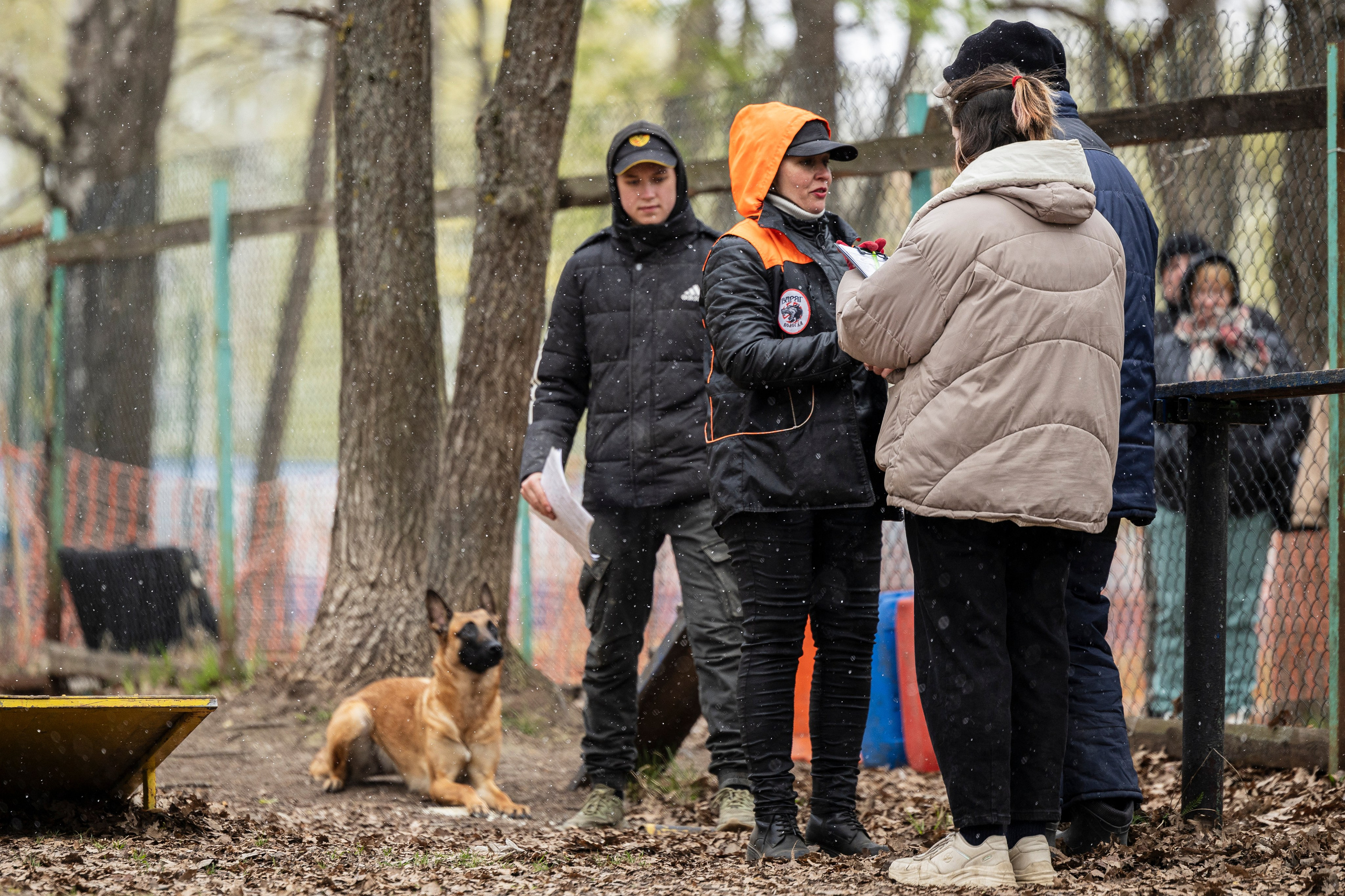Квалификационные состязания по мондьорингу г. Вологда 11.05.24. Фотограф-анималист Анна Маринич