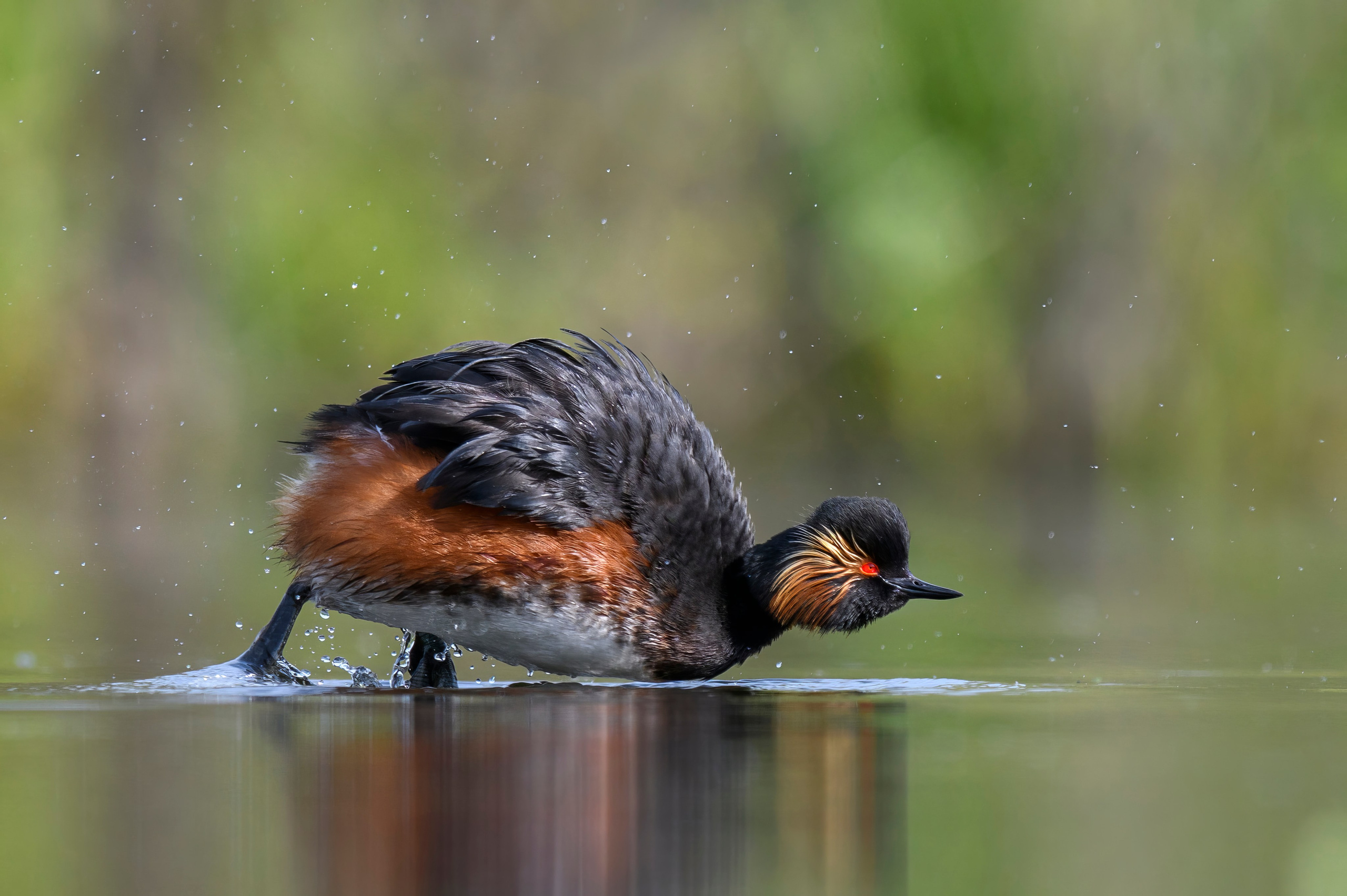 Выкрутасы. Фотограф Сергей Пупонин