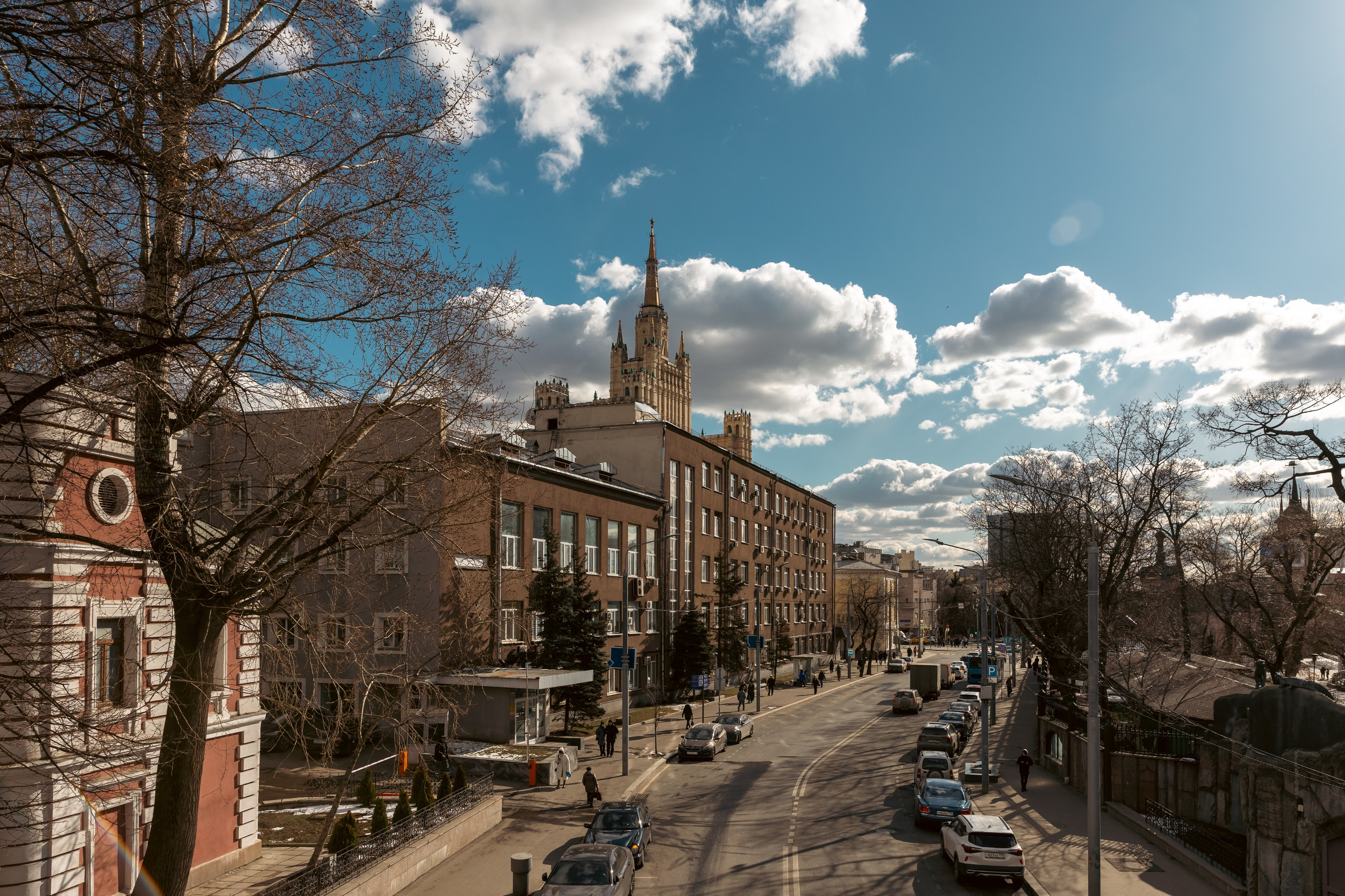 Zoo. Семейный фотограф Израиль