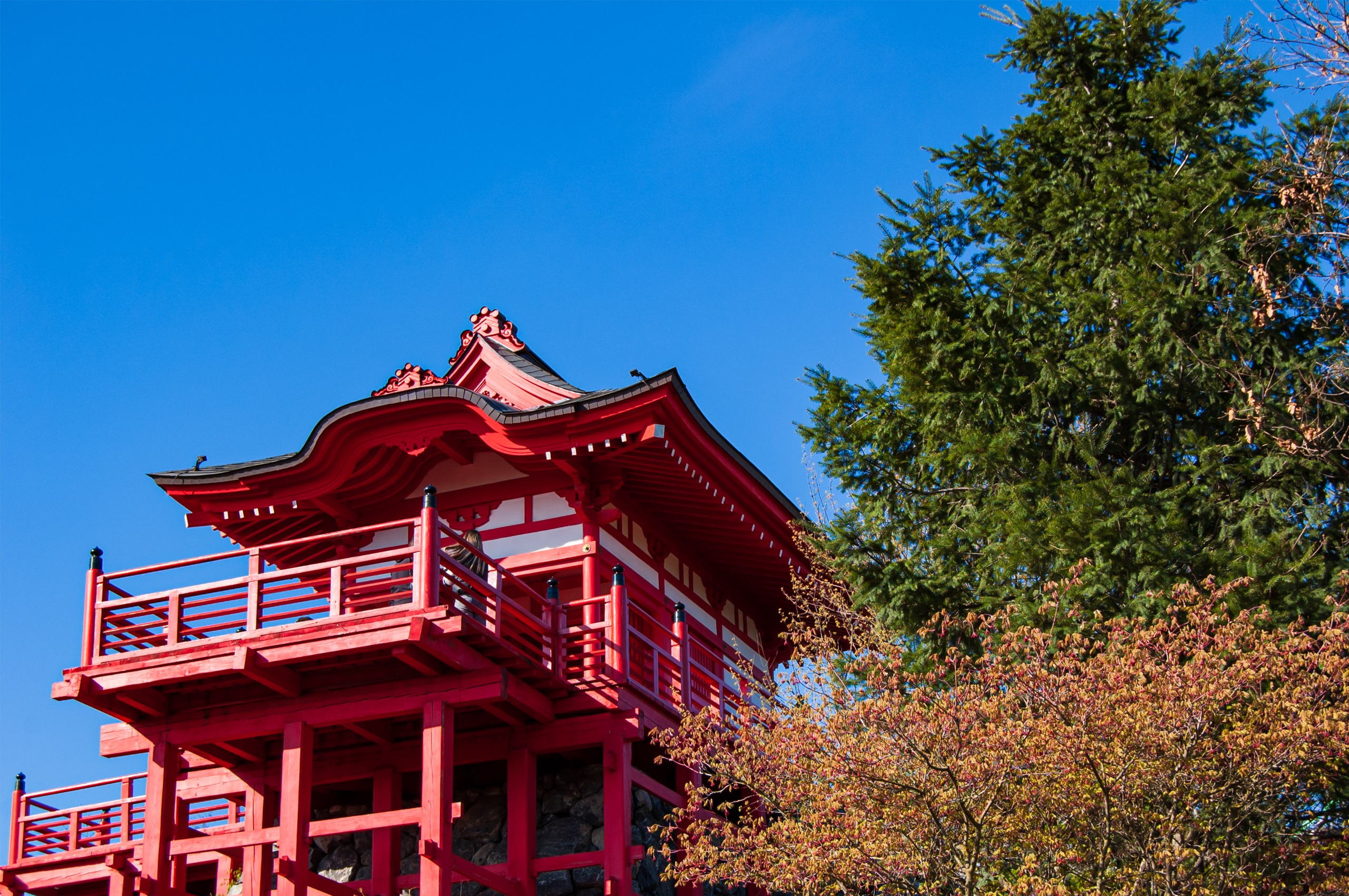 Фотосессия эстетики Японского сада в Краснодаре. Портретный фотограф в Краснодаре Слава Никитин