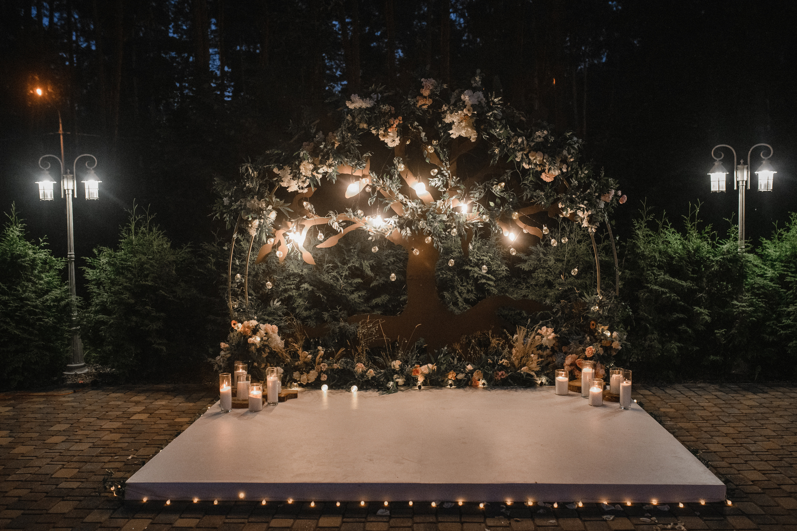 Виктория и Денис. Анна Чугунова