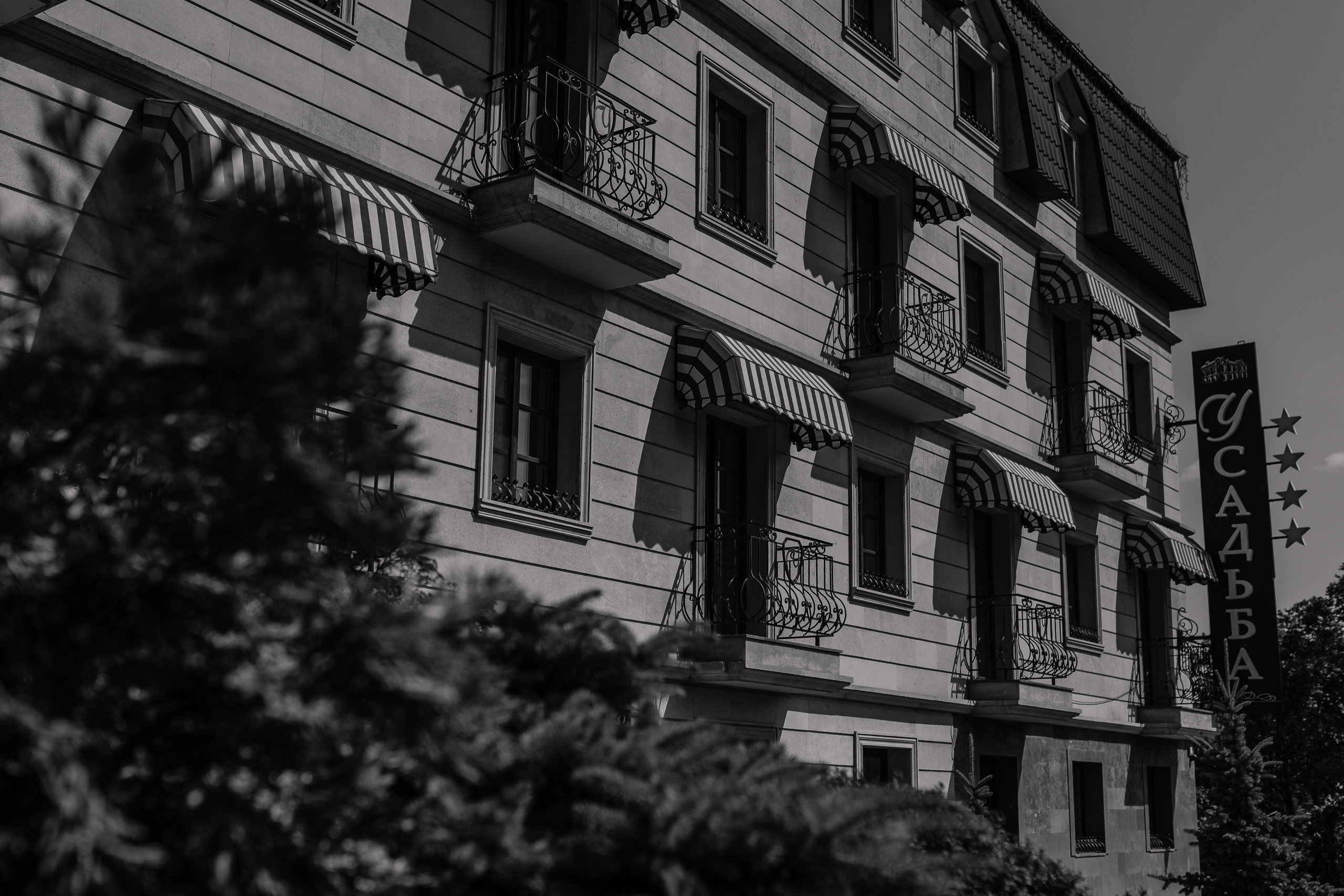 Анечка и Кирилл. Анна Чугунова