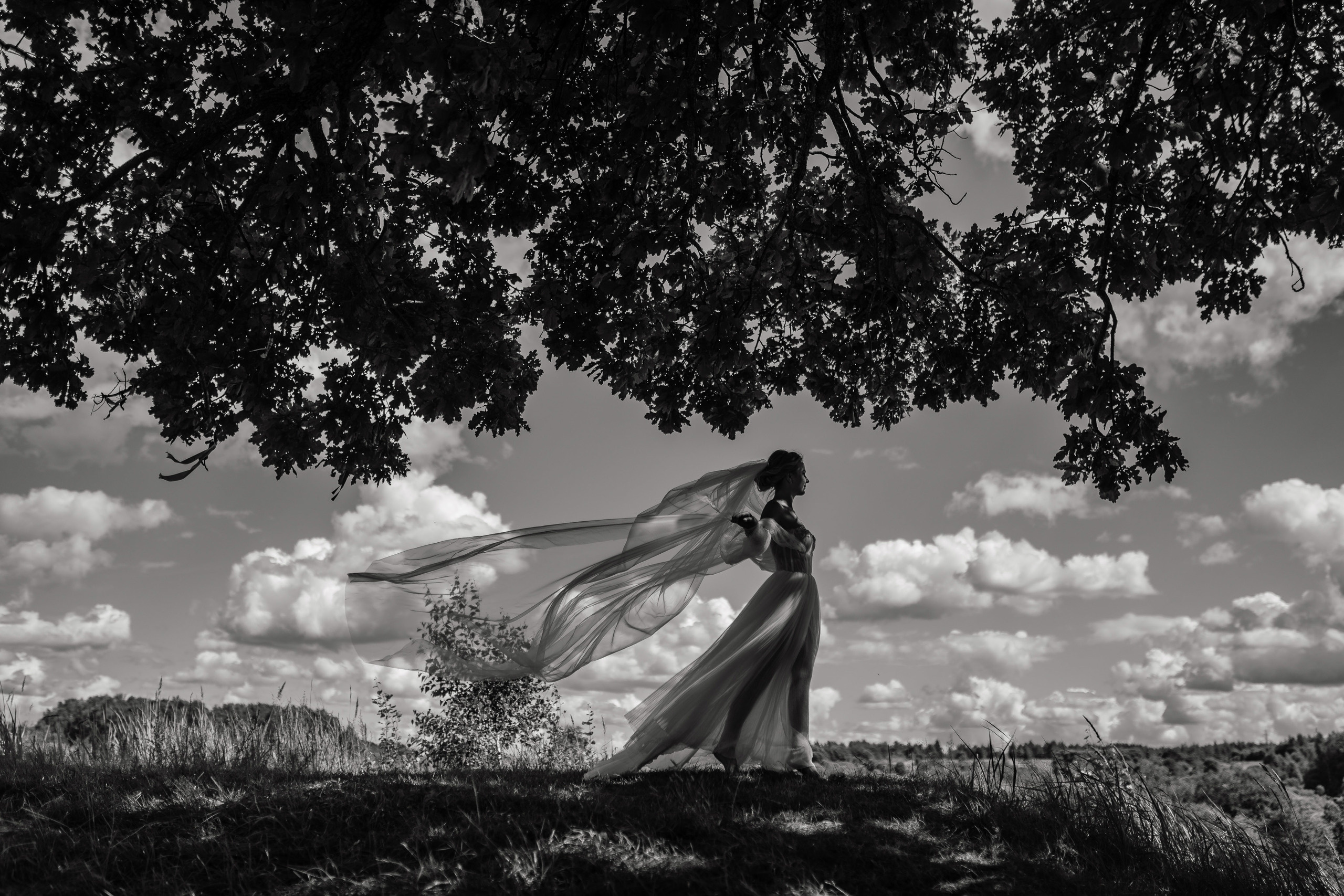 Саша и Леша. Анна Чугунова