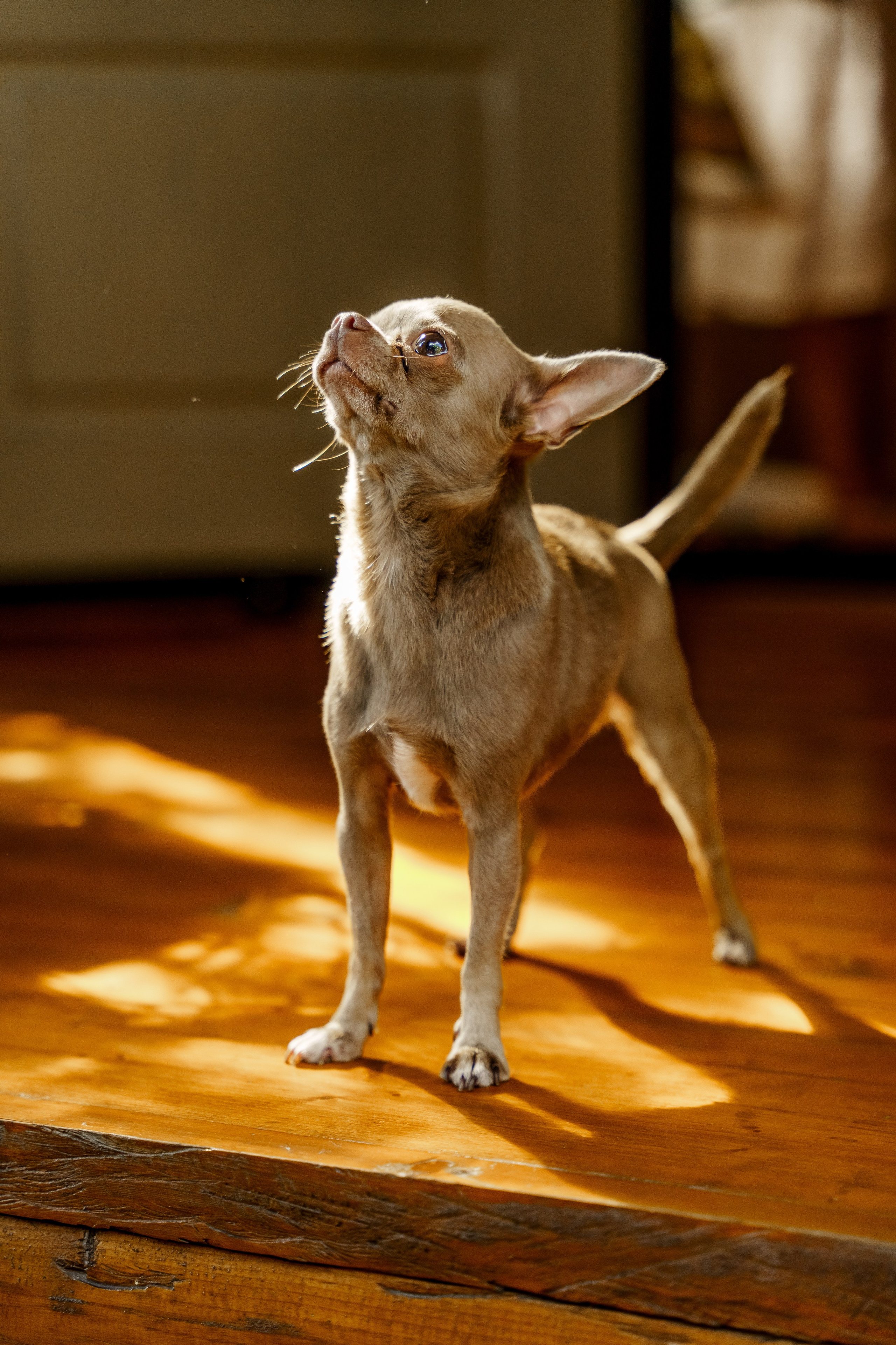 Ева 1 год. Станислав Тюрин Фотограф Москва. Индивидуальные и семейные фотосессии;