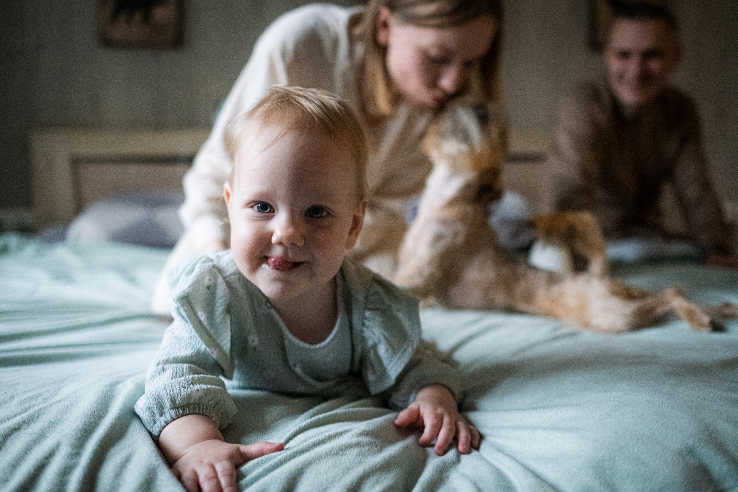 Елена, Сергей, Алиса и Кузя. Семейный фотограф в Санкт-Петербурге Дарья Косянчук