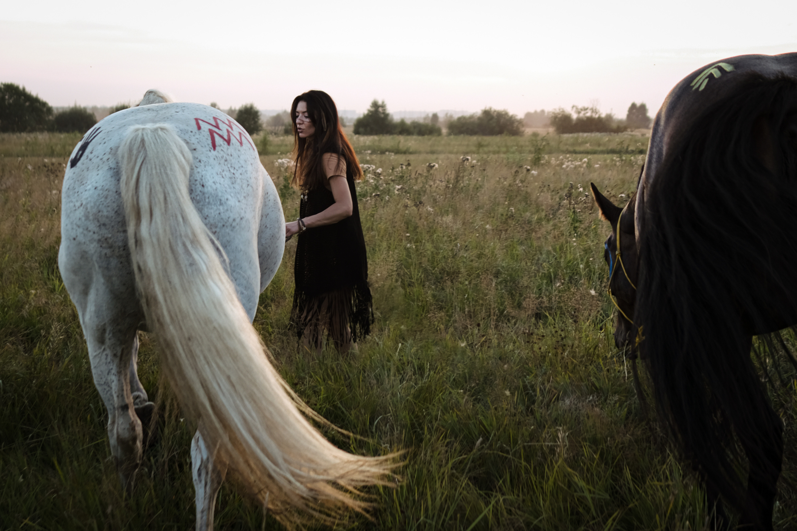 Лошади и Таня. Семейный фотограф в Санкт-Петербурге Дарья Косянчук