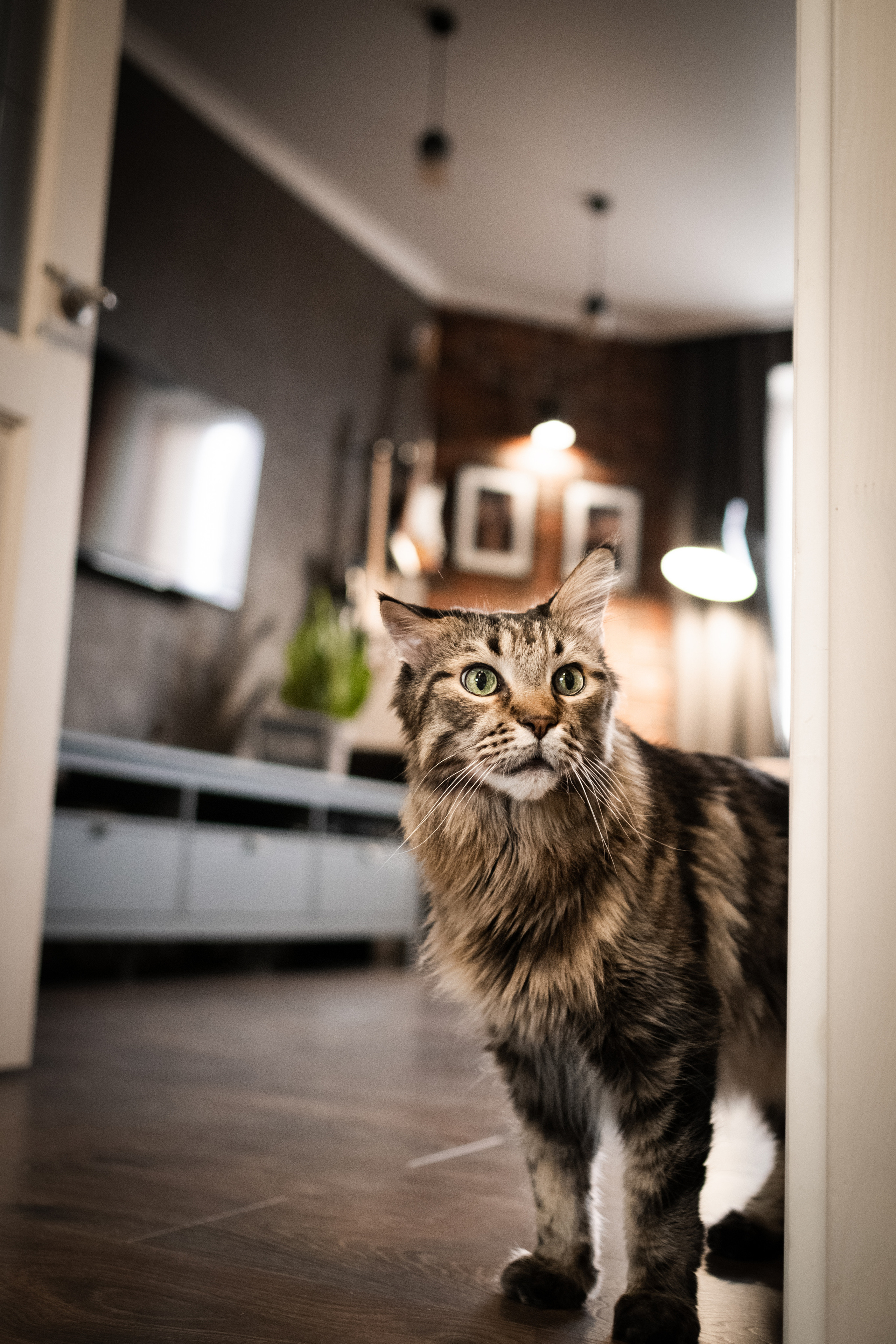 Аня, Антон, Машенька, Ерёма и Бродя. Семейный фотограф в Санкт-Петербурге Дарья Косянчук