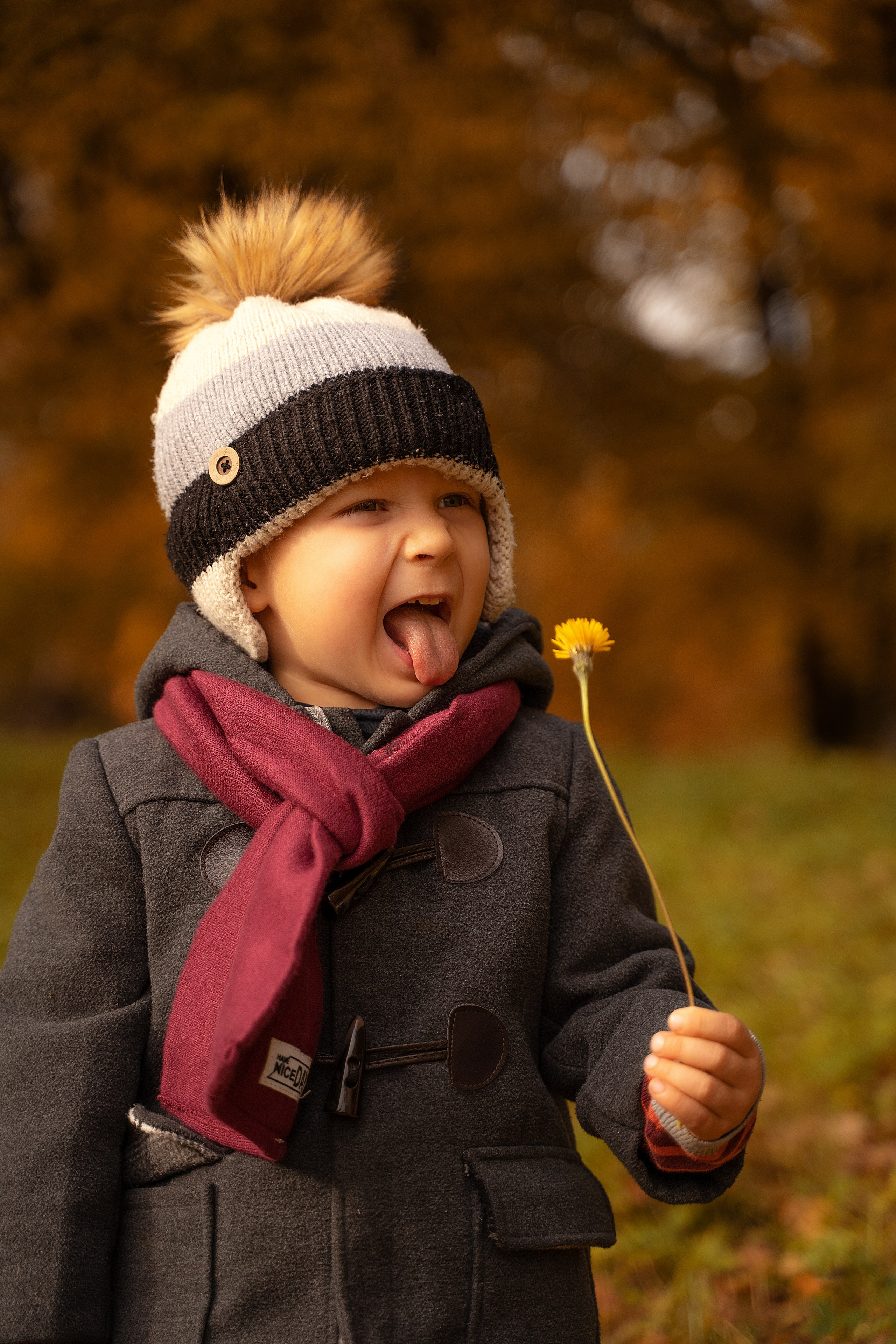 Дмитрий Юлия и Мишенька. Свадебный фотограф Санкт-Петербург, Сочи, Питер, Выборг, Луга, Псков
