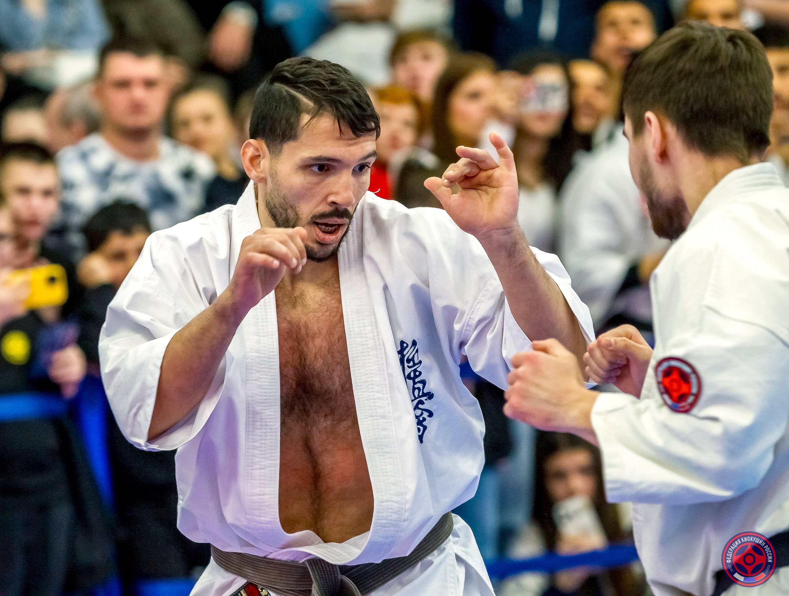 Международный турнир по киокушин «Открытый кубок Seiken». Репортажная съемка в Москве и области. Анималистика