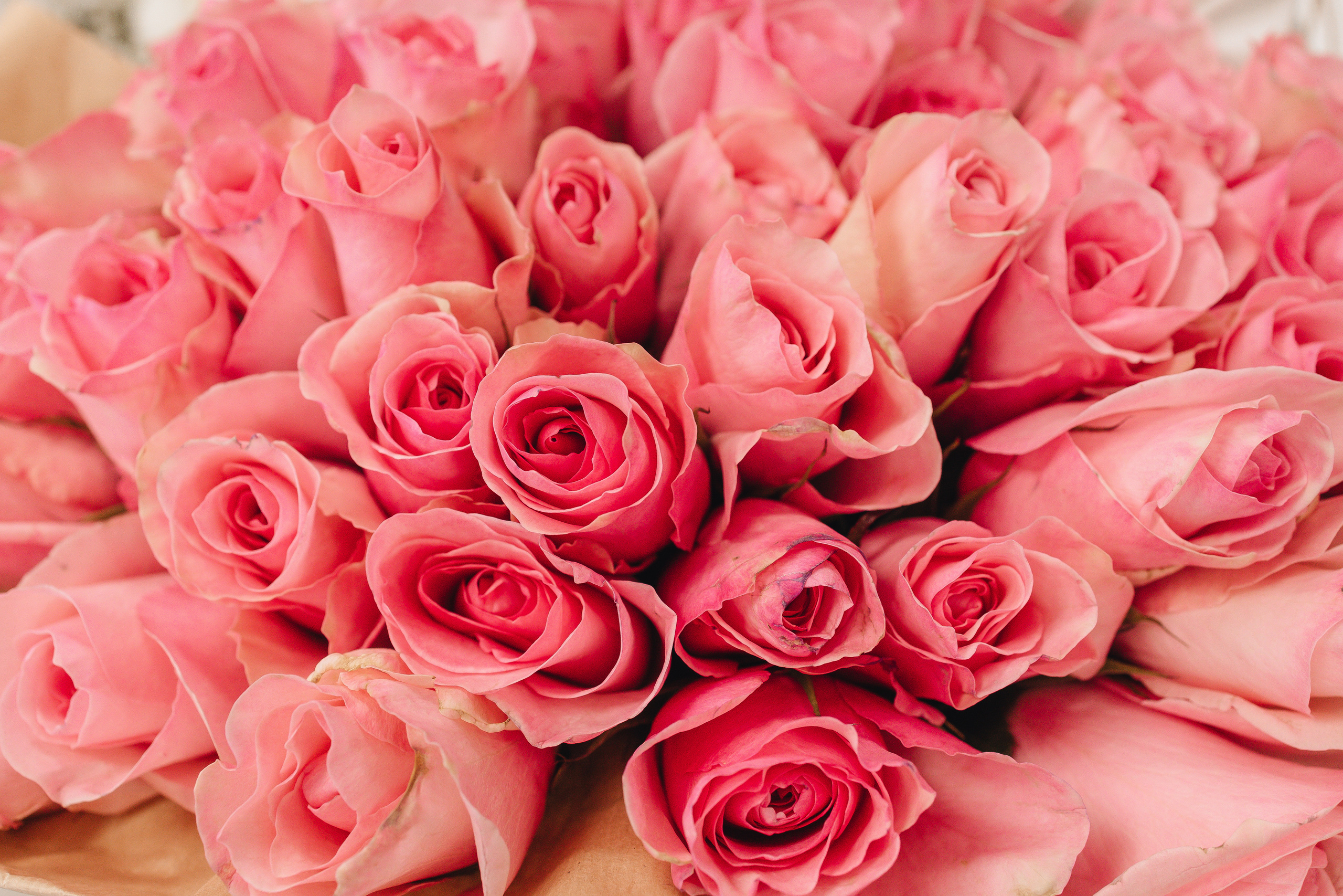 ВЫПИСКА. МиМика — самая детская фотография