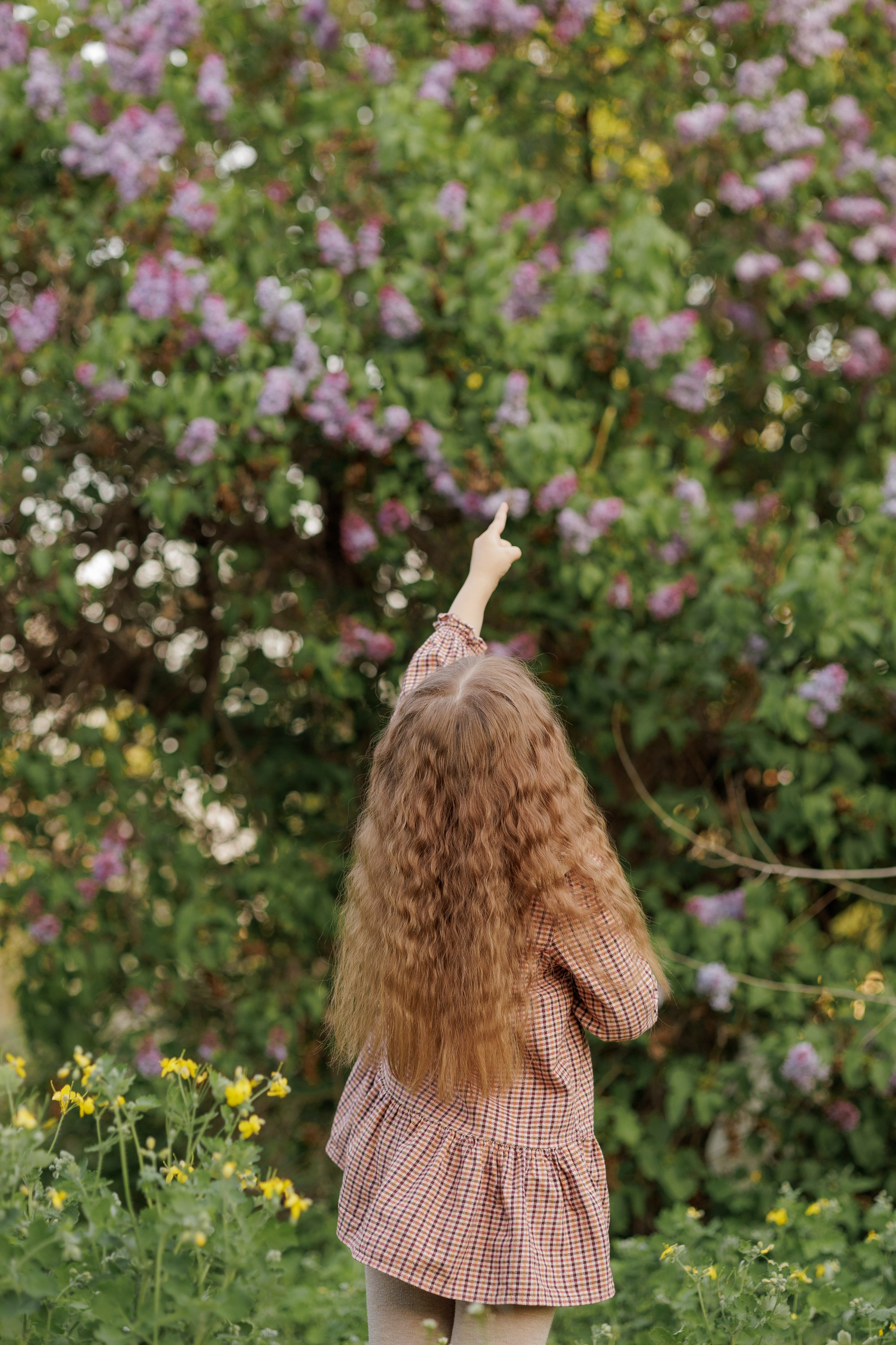 Детская. Женский и семейный фотограф Алина Влади