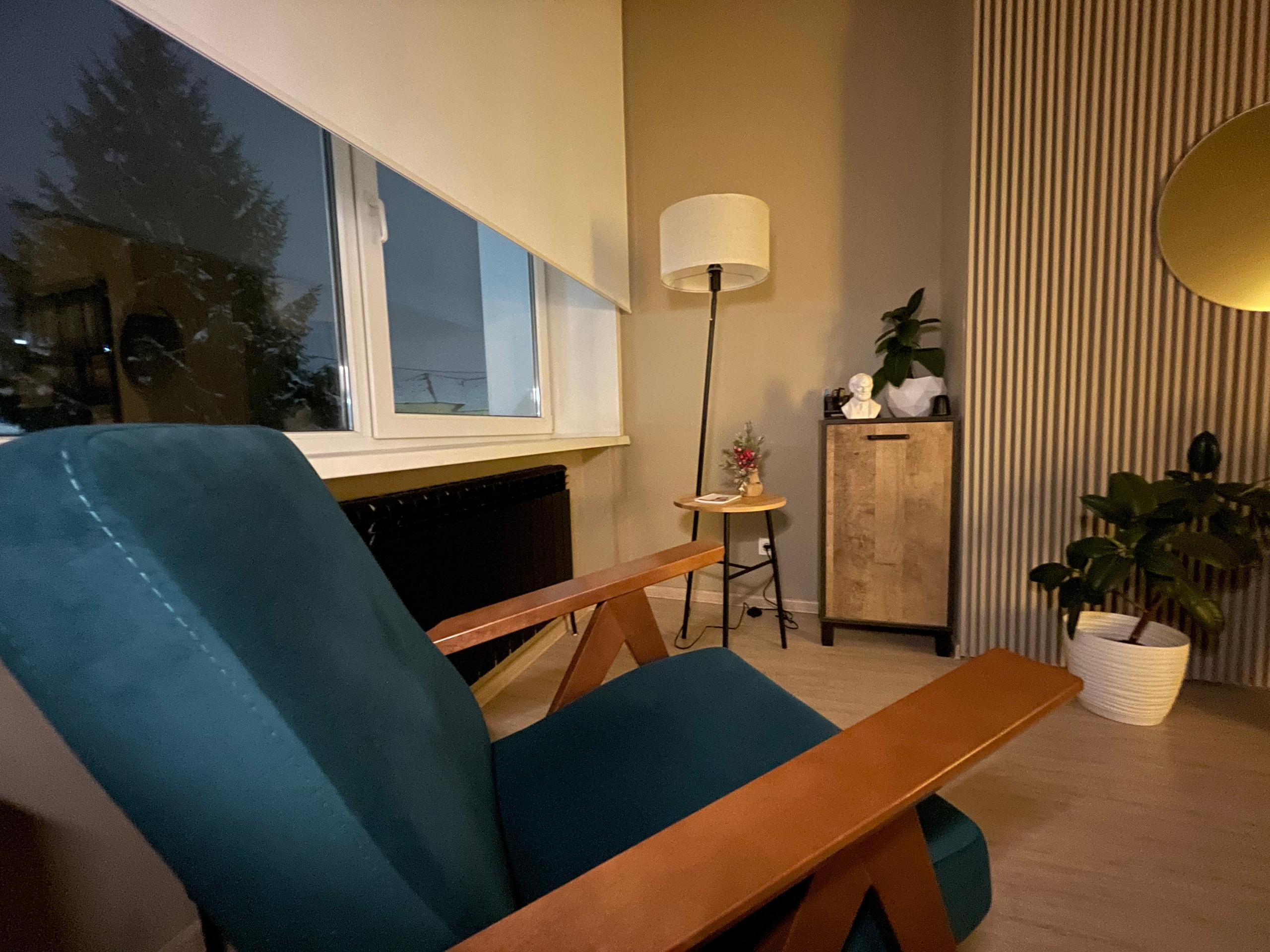 Психолог Анна Коноплева в Брянске