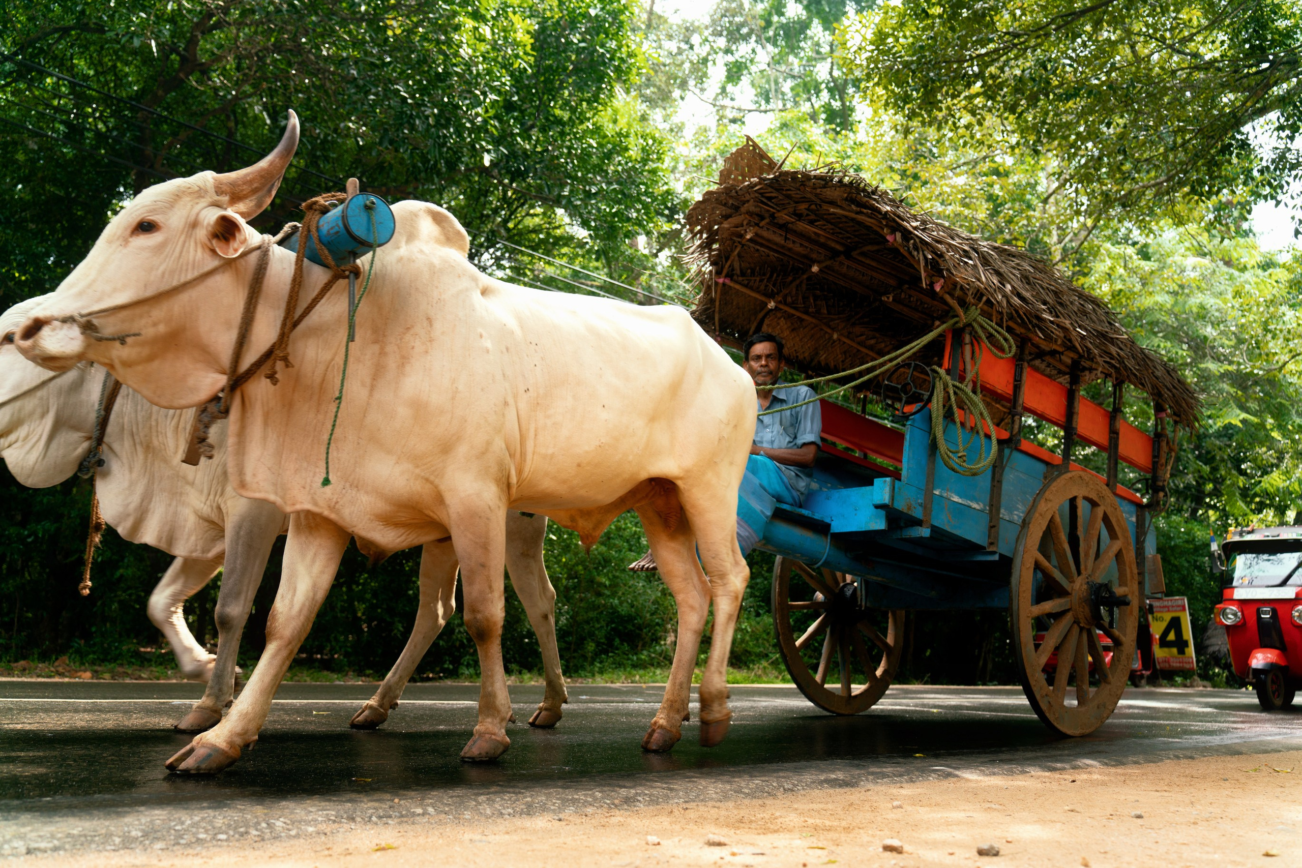 Ktokuda. Фотограф в Хабаровске. Фотография за 24 часа