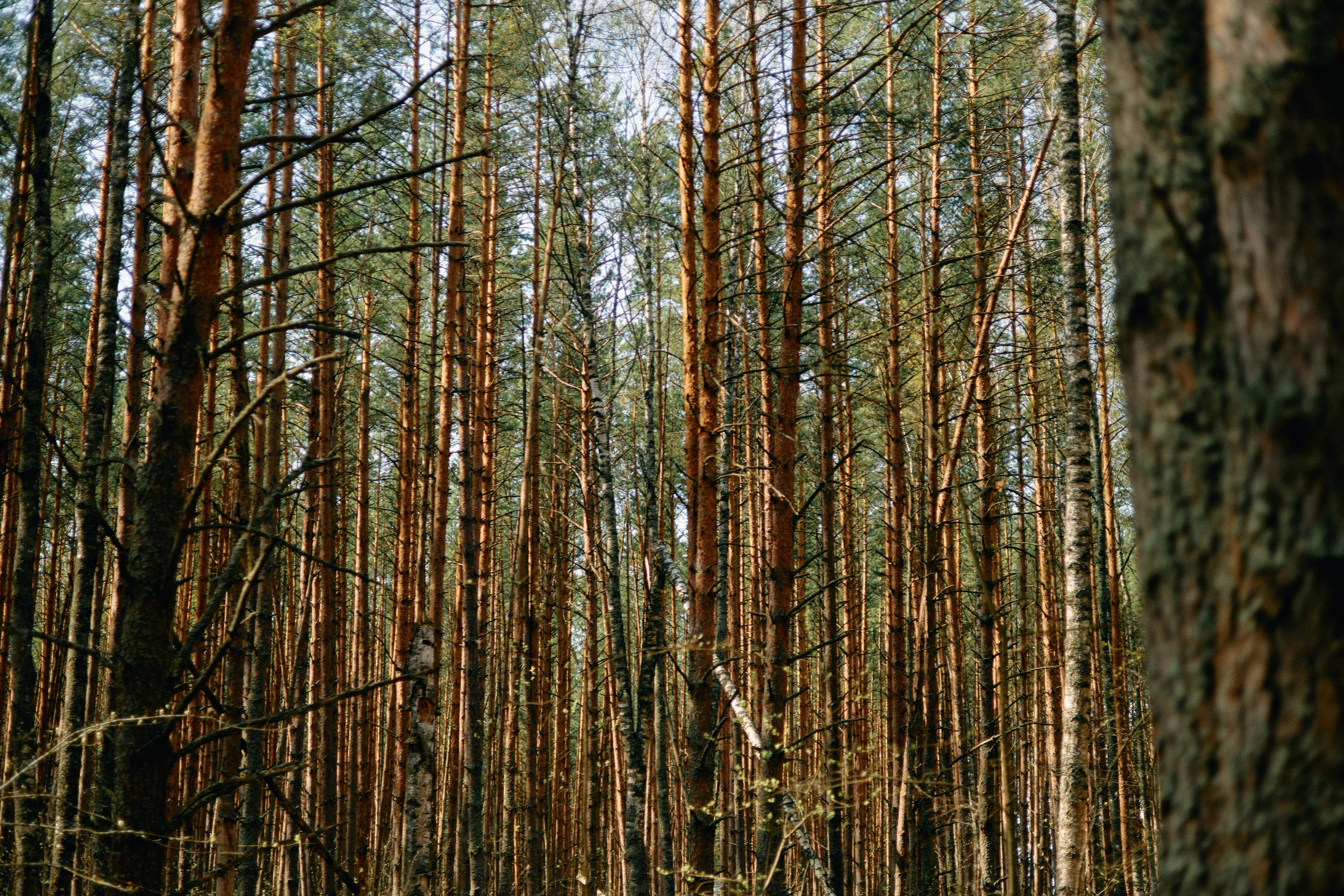 Бутик-отель Поле летом. Профессиональный Фотограф во Владимире, в Москве и в Суздале — Полина Романычева