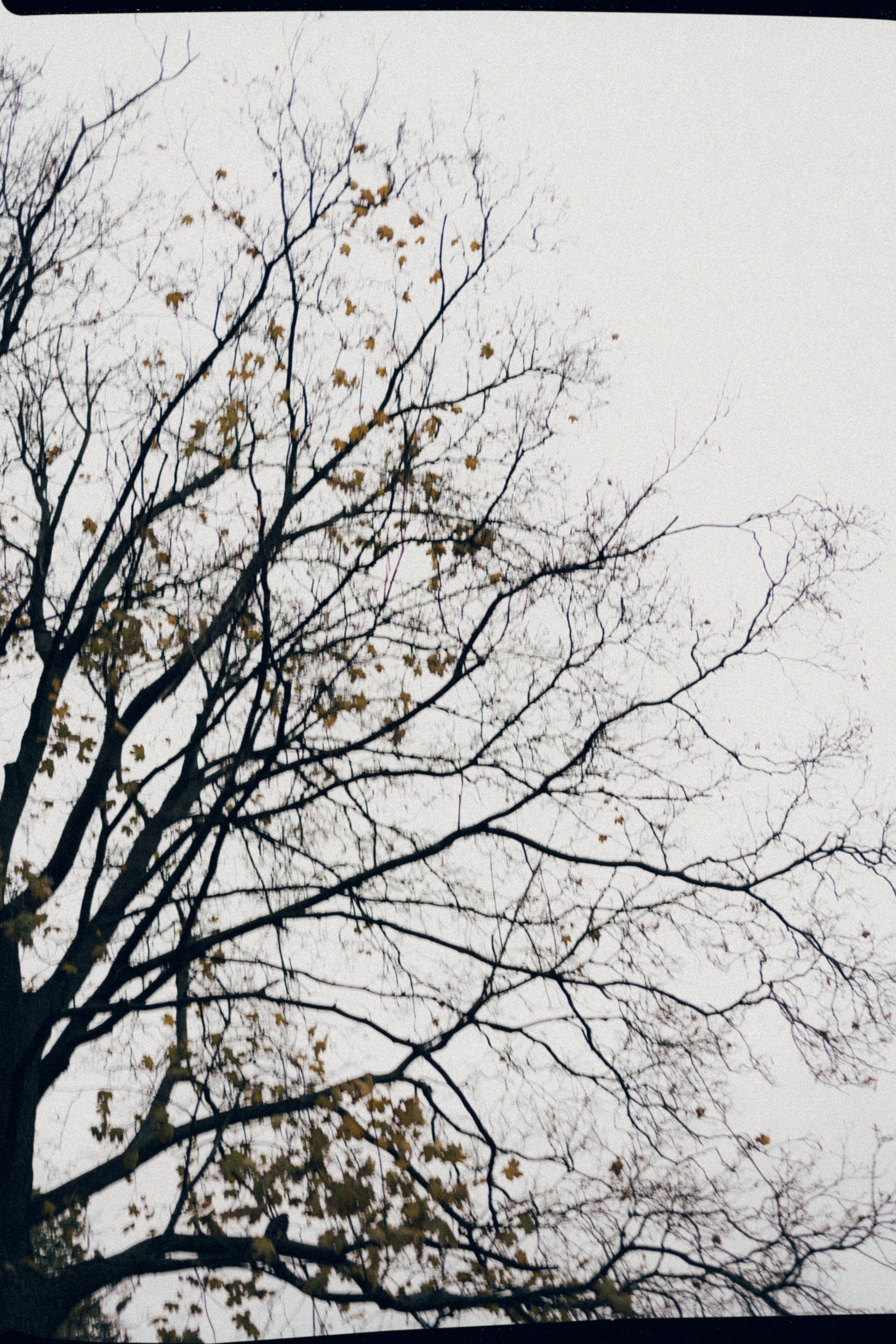 Roof wedding. Фотограф Ксения Калюжная