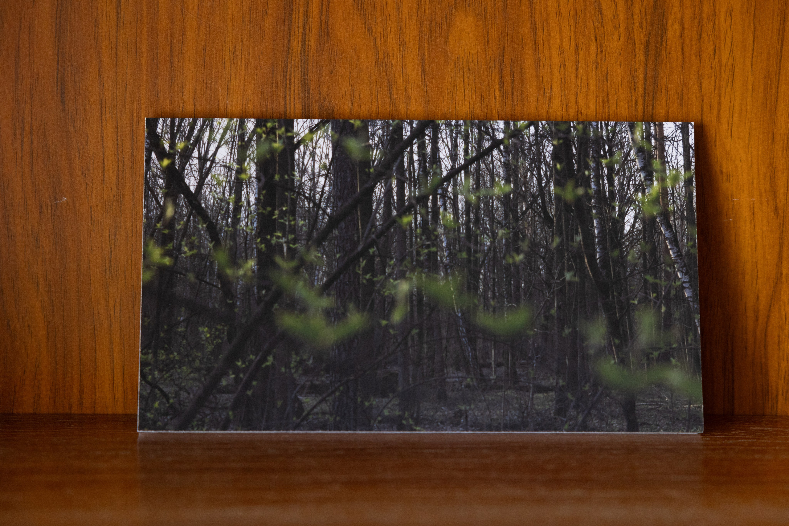 Personal exhibition Interior landscape 2025. Фотограф алина стерхова, алина стерхова фотограф, фотограф москва