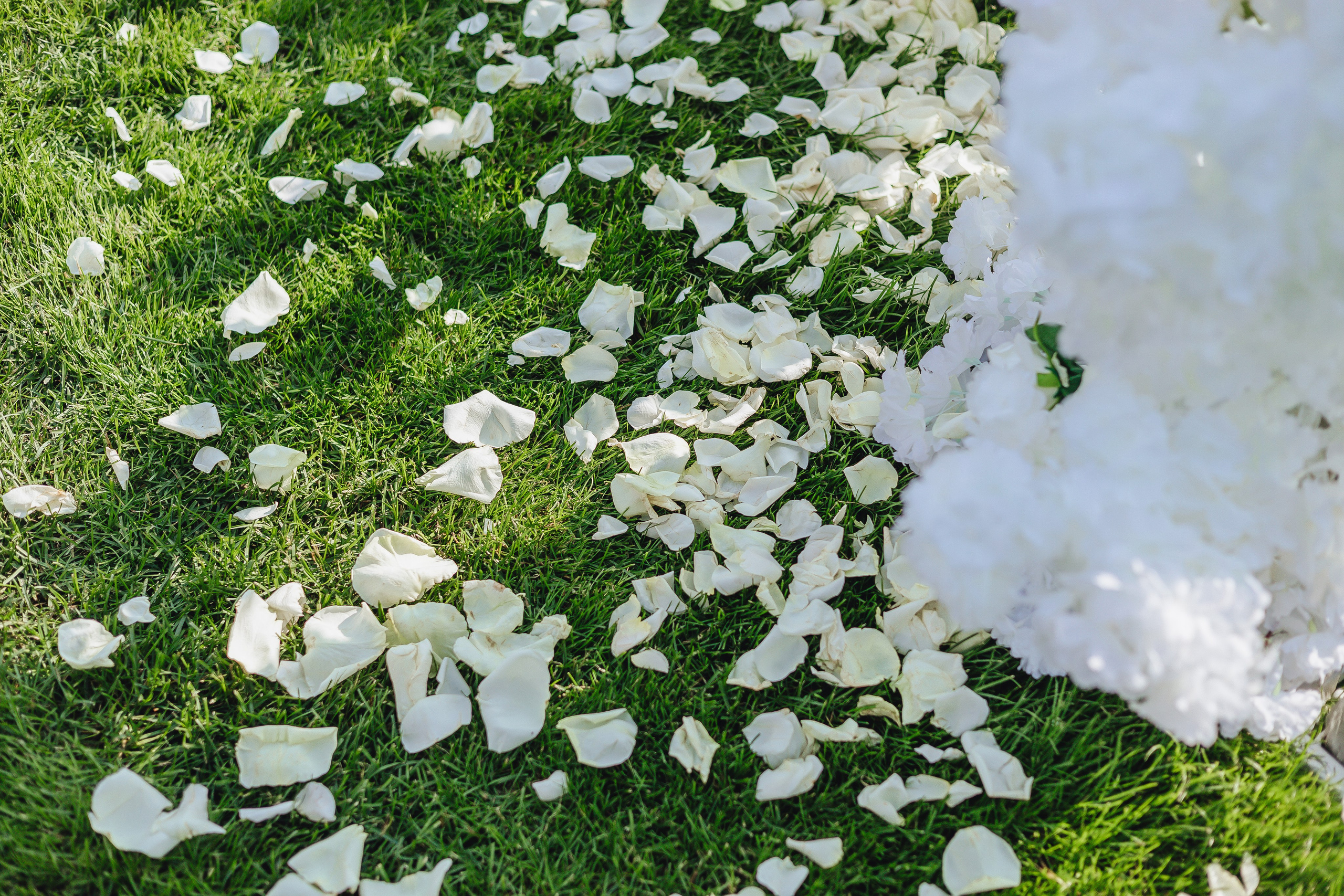 Настя и Вова. Свадебный и семейный фотограф Пушкин Царское Село СПБ Питер Санкт-Петербург и Рязань Ольга Козлова