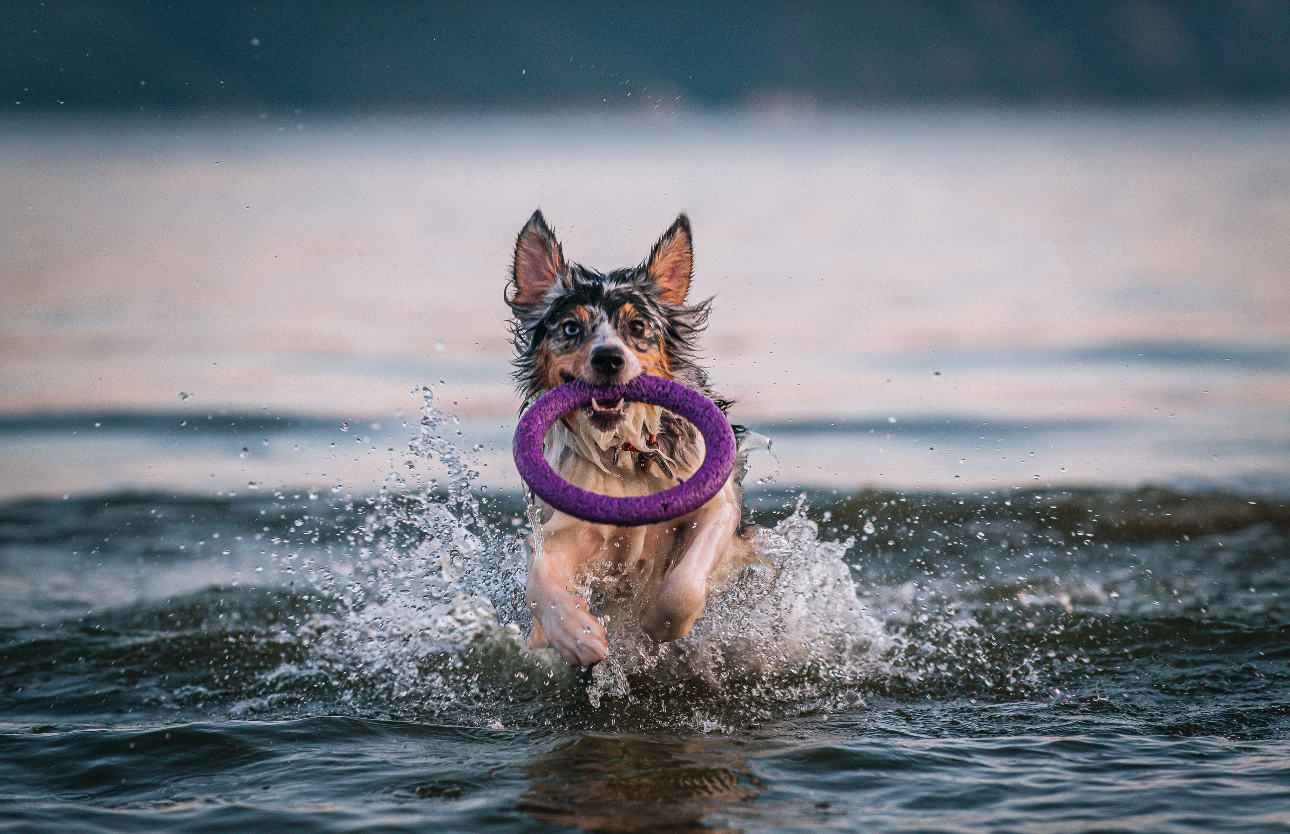 No Bad Days. Главная