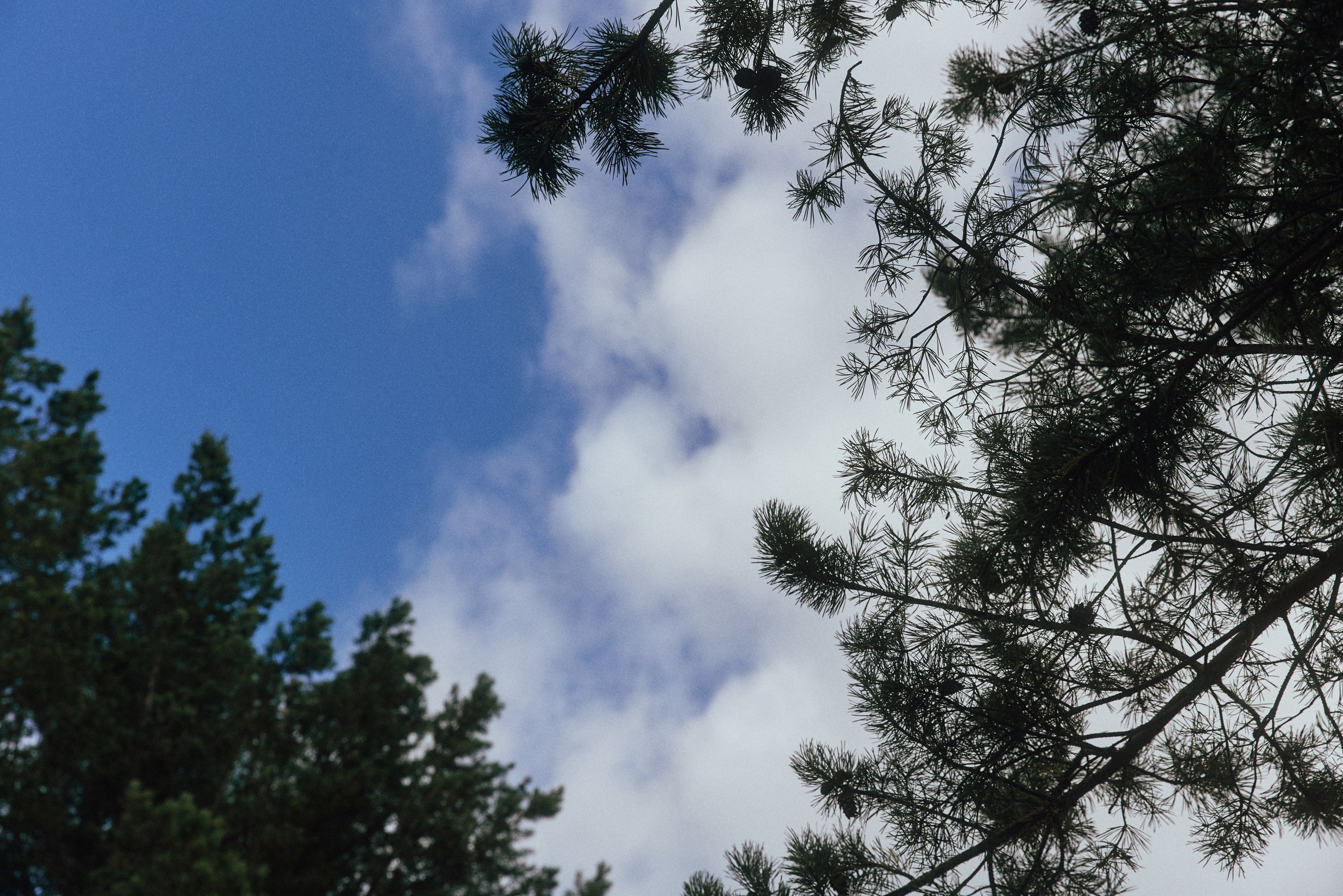 Vladislav & Natalia. Event агентство PAPRIKA в Екатеринбурге